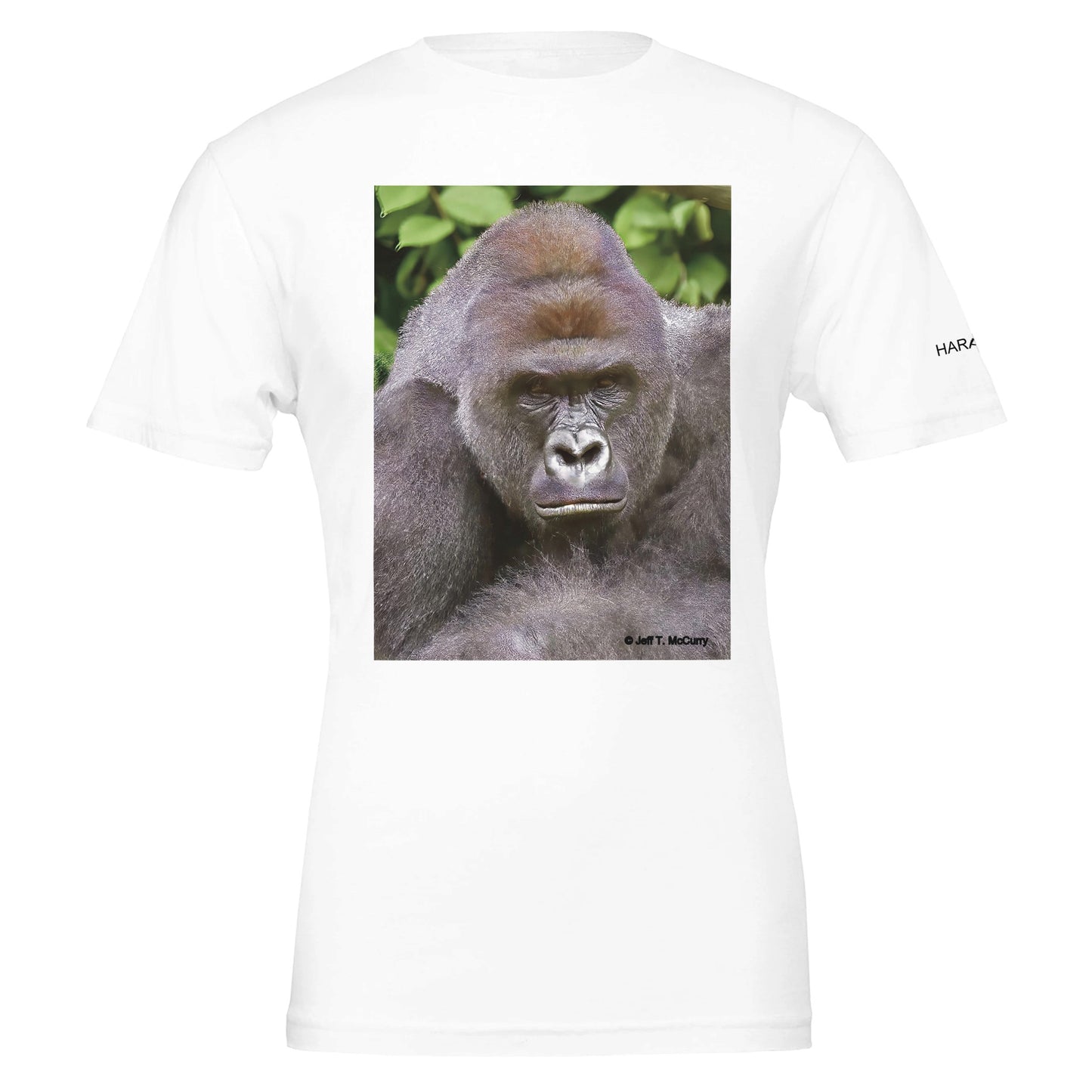 b6269f1d-4212-4671-933d-612f5c4e35ed