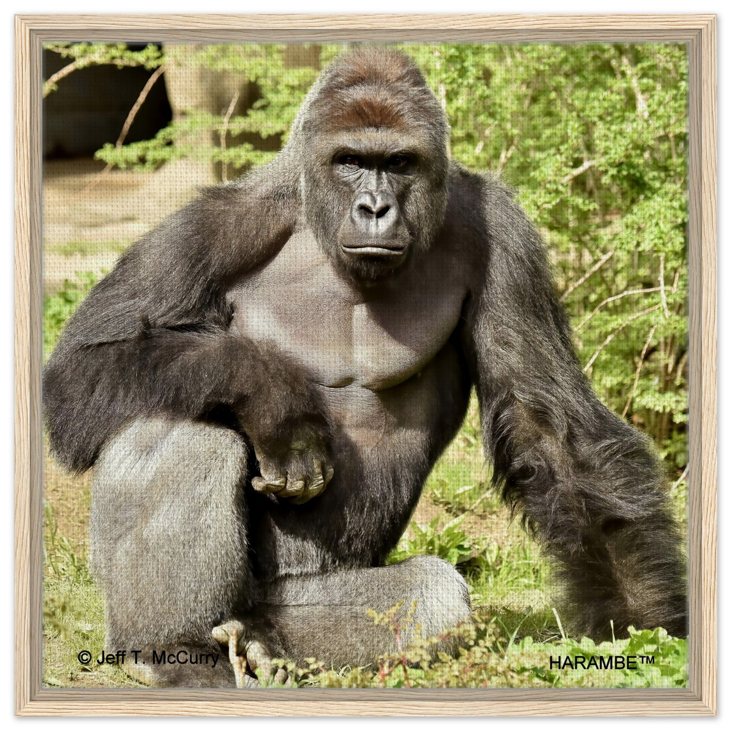 b7673d25-4e60-4971-ab7d-43aff75eb259