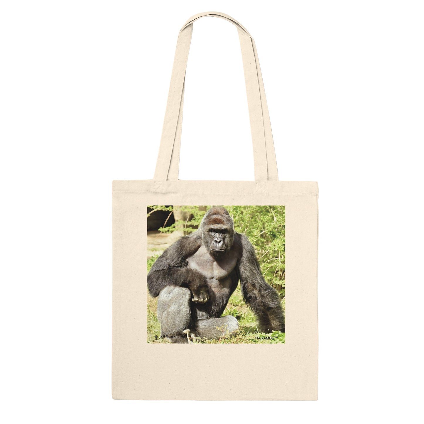 b87b765a-8c08-469d-9935-292e19cee7d9