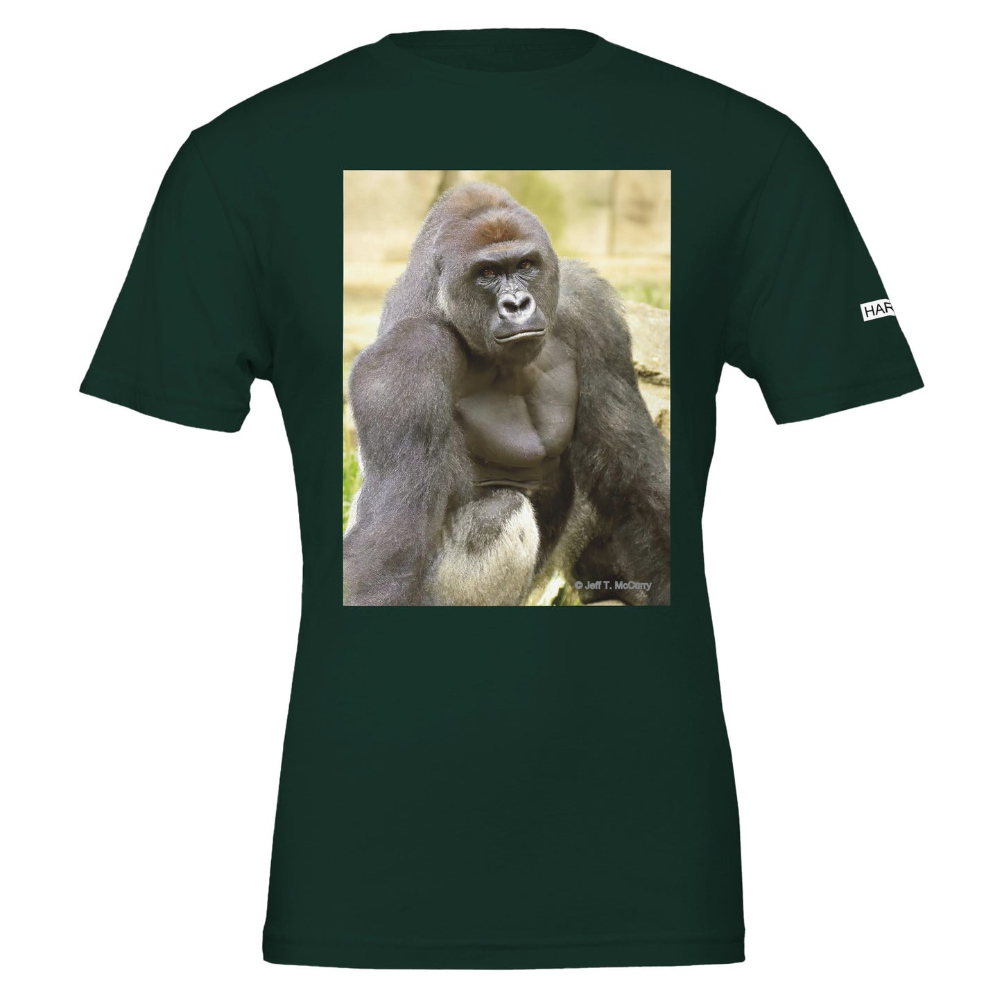 b87c9ecb-868f-4a9d-bdaa-dfd4a3ca6481