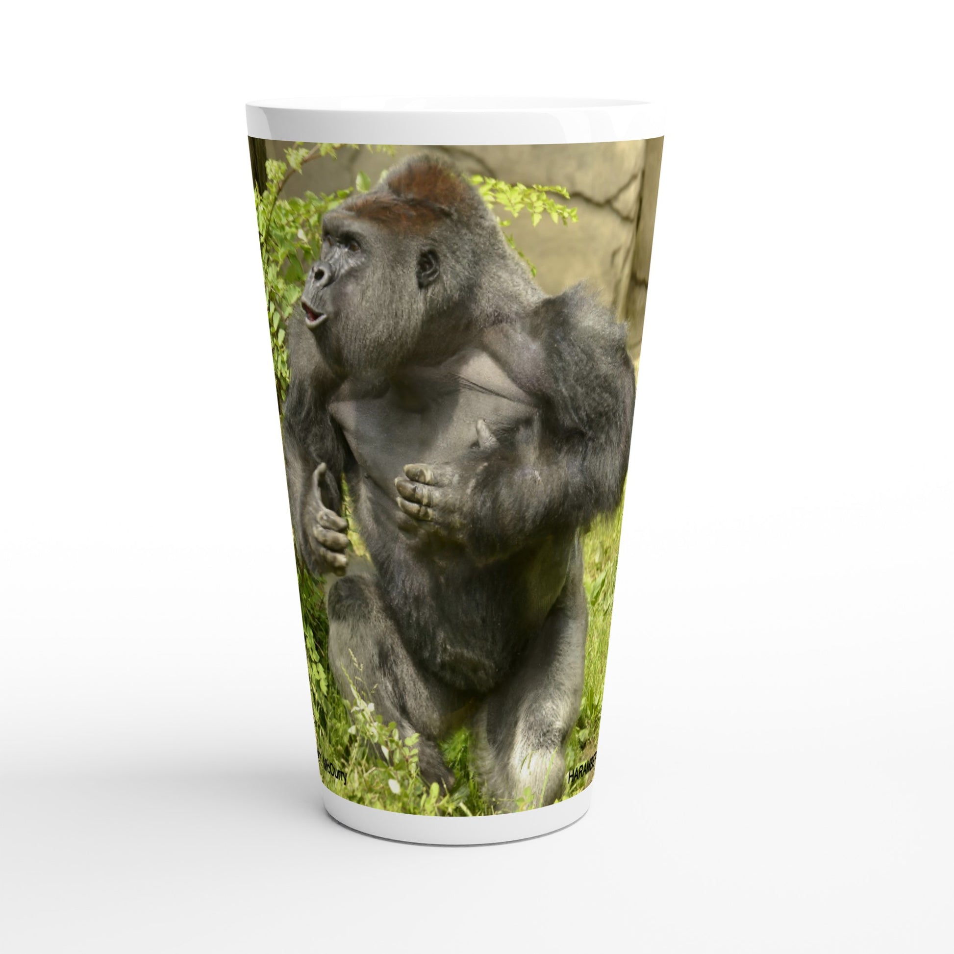 ba174285-8e1a-478c-91ff-f17a281c490d