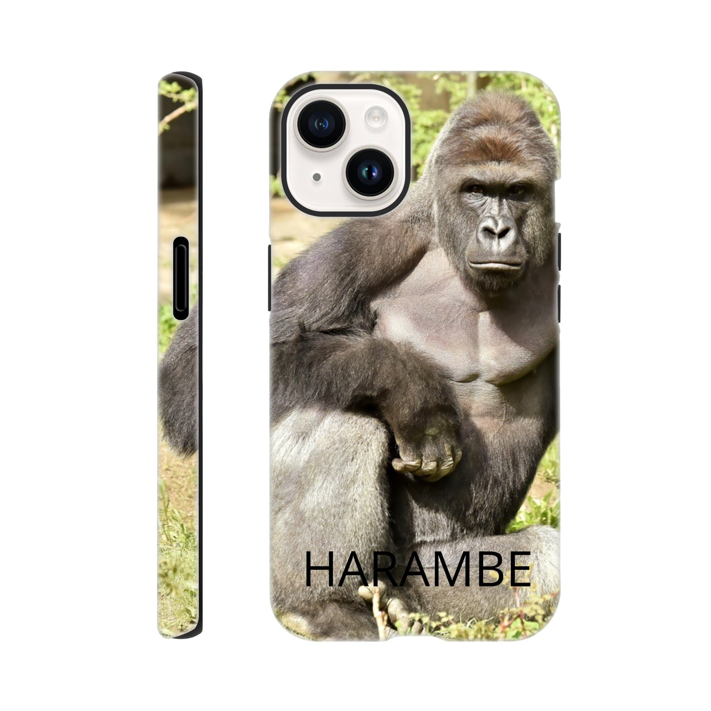 ba50b09f-b936-4988-917c-2fd7cc9f69be