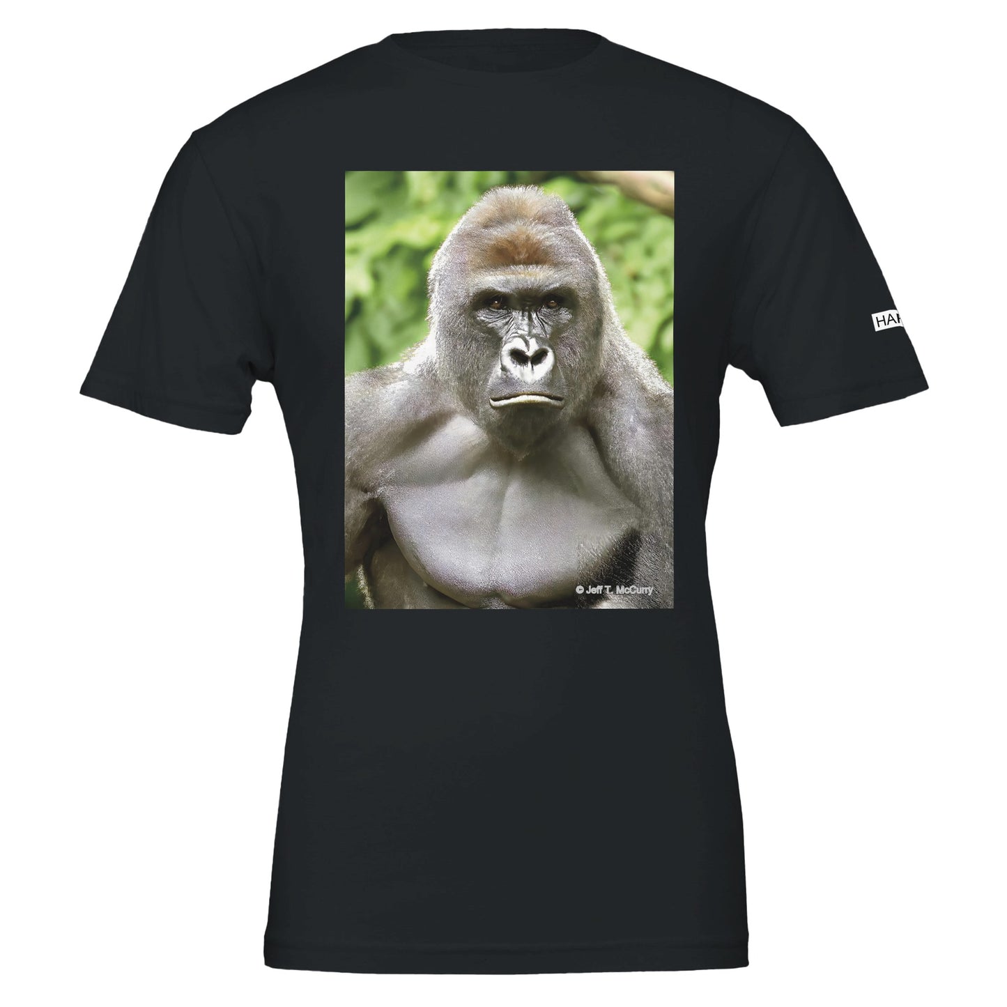 ba6c14e7-c67b-4880-99f9-ef65d89b8377