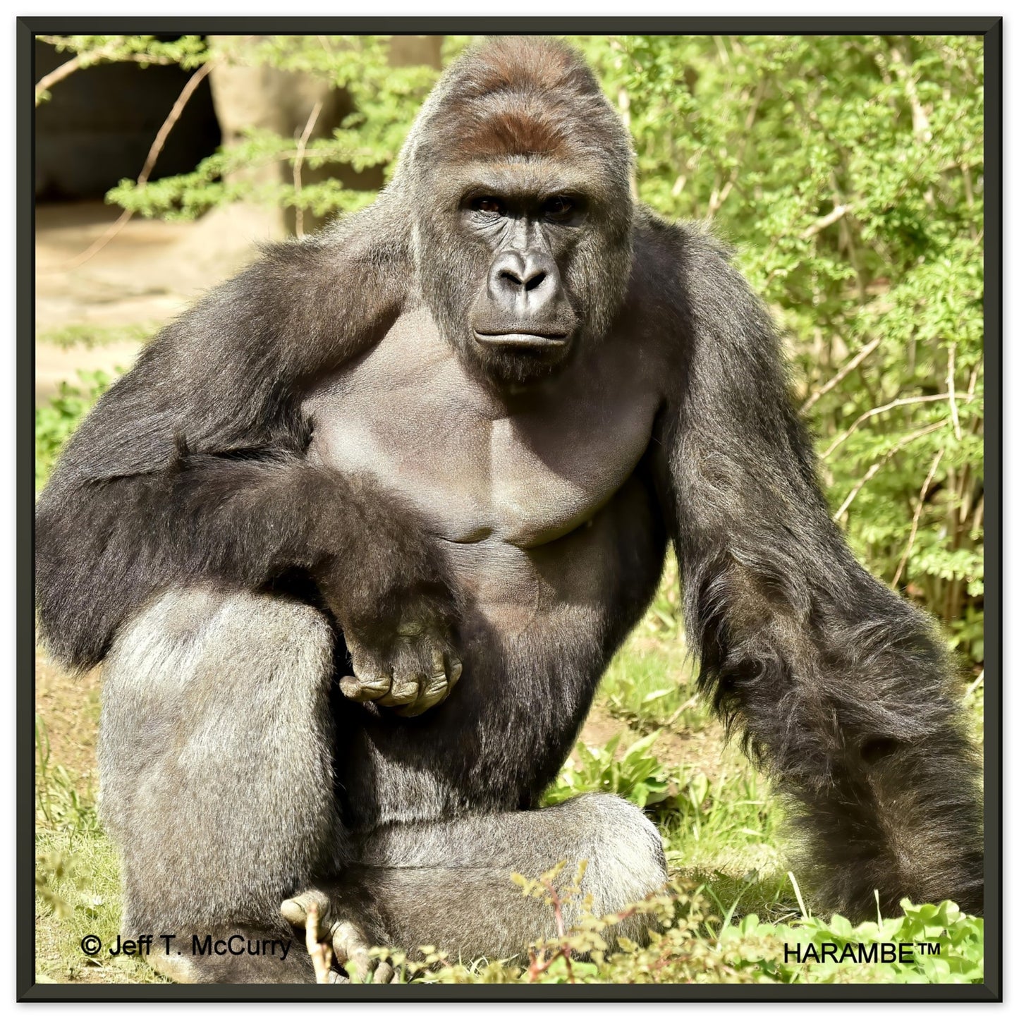 bb060856-4624-4a0a-b817-f677a1165681