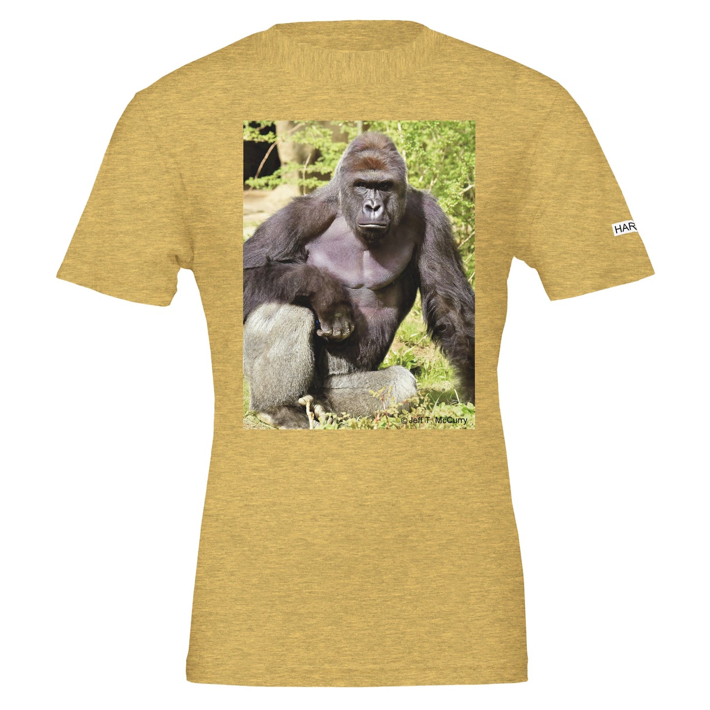 c2af27dc-3f83-46a4-b4fd-3cf73514e093