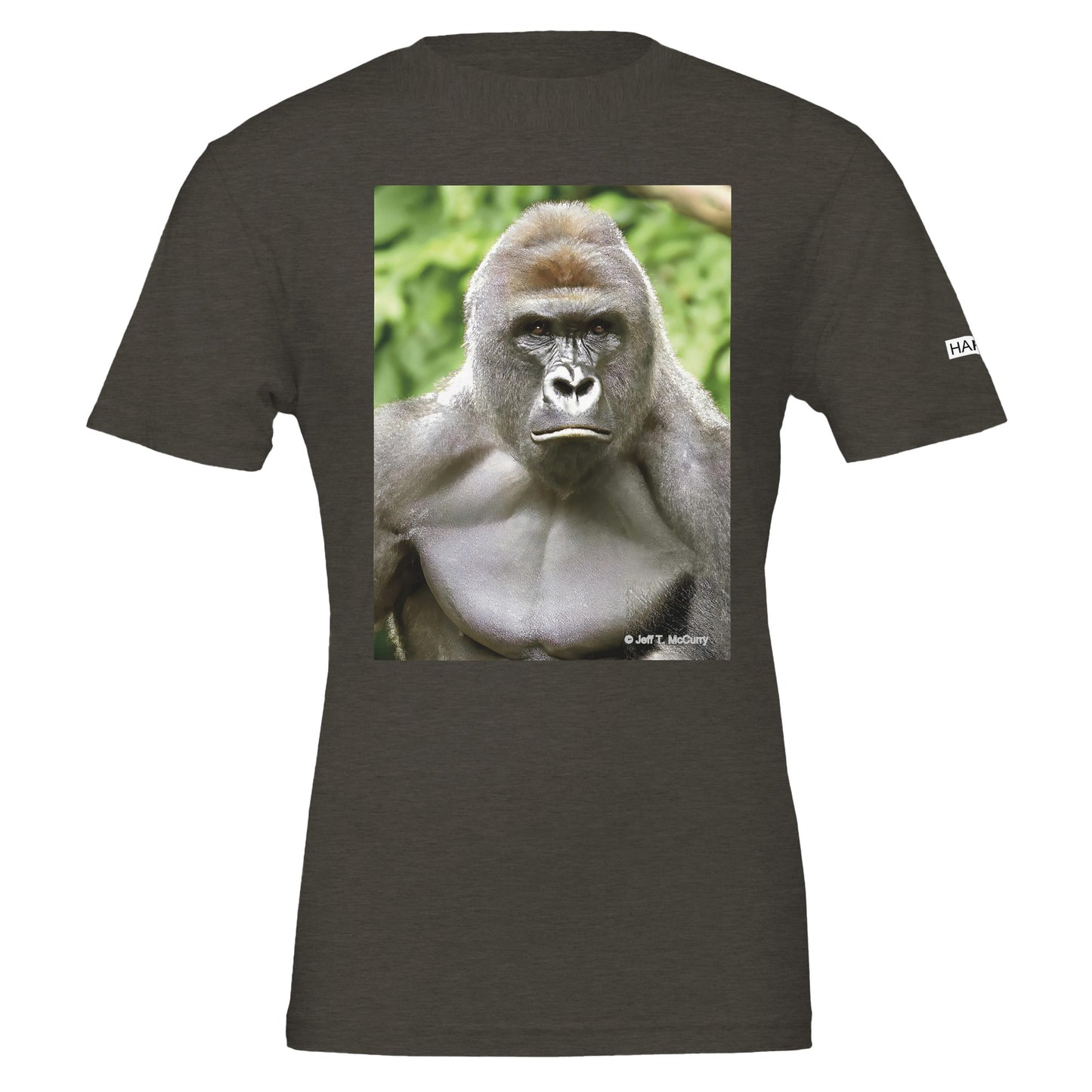 c3132055-defb-4030-9d78-64dc2796bbab