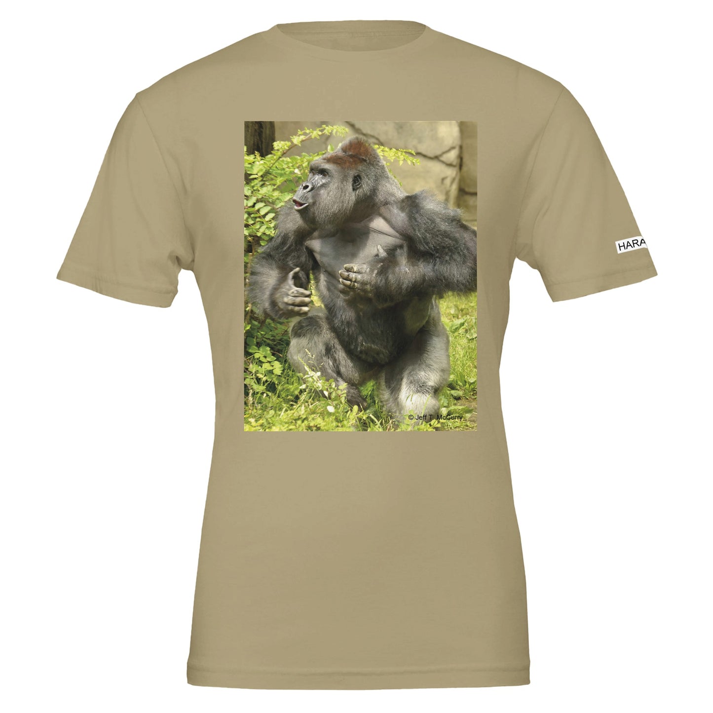 c5c4a8df-2de7-4143-95bf-4aeb85d1c817