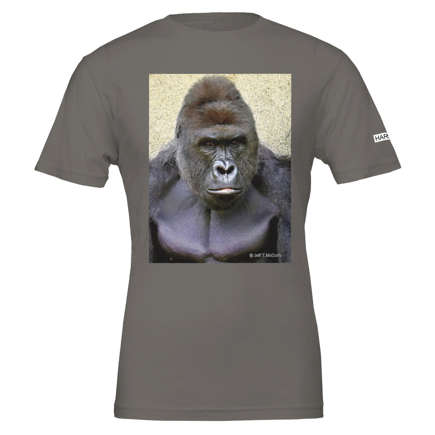 c7c2c9f9-be19-415e-a204-4700aac130ac