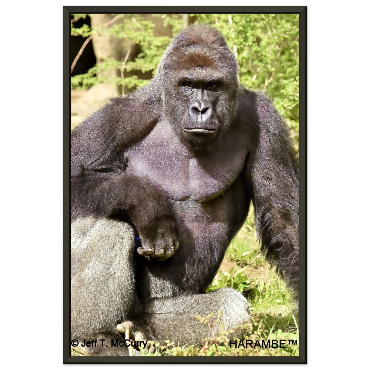 c971c436-f8db-43d4-adf9-ae610cdc6734