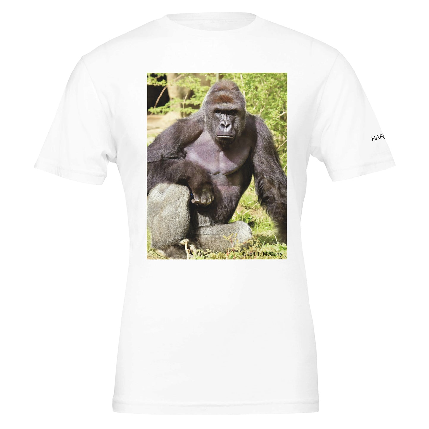 cd78e1e6-98d9-477c-b3bd-37c4e7b02bf1