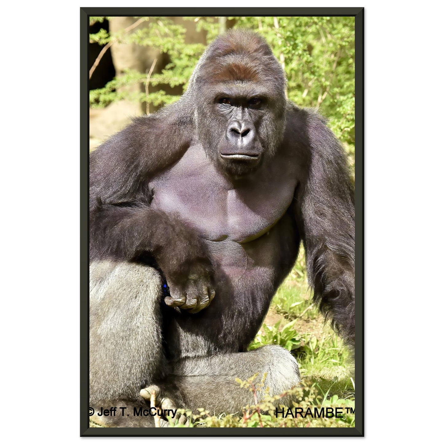 ce6bc821-20ea-4db5-9d23-dbcc7a4da8e4