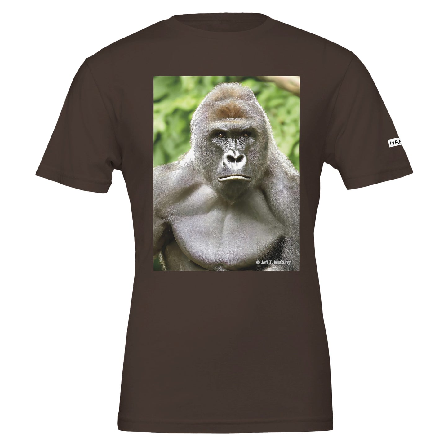 ce76c5ee-71d1-4224-98a4-024e647ea77d