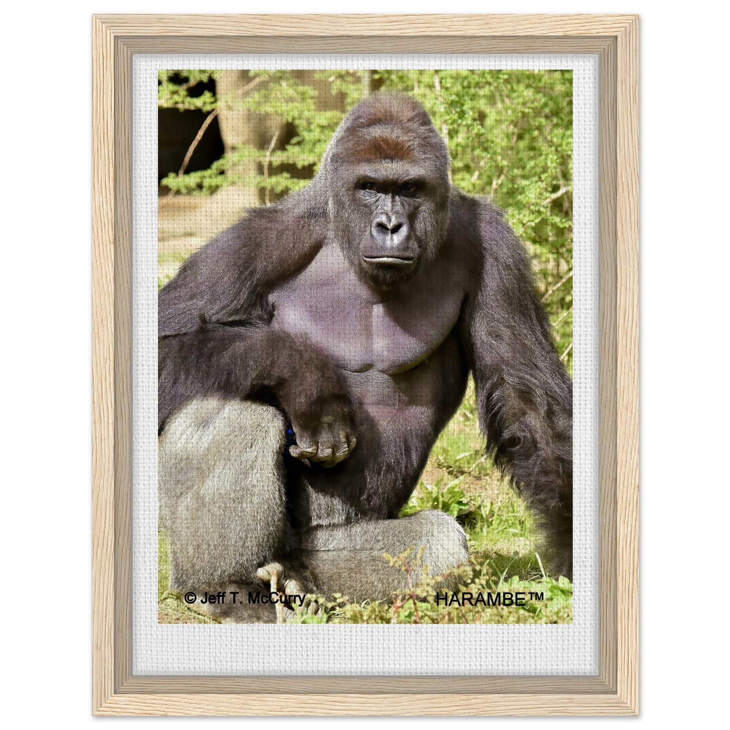 ce91f1aa-5871-44a6-bc12-527b46b23e6e