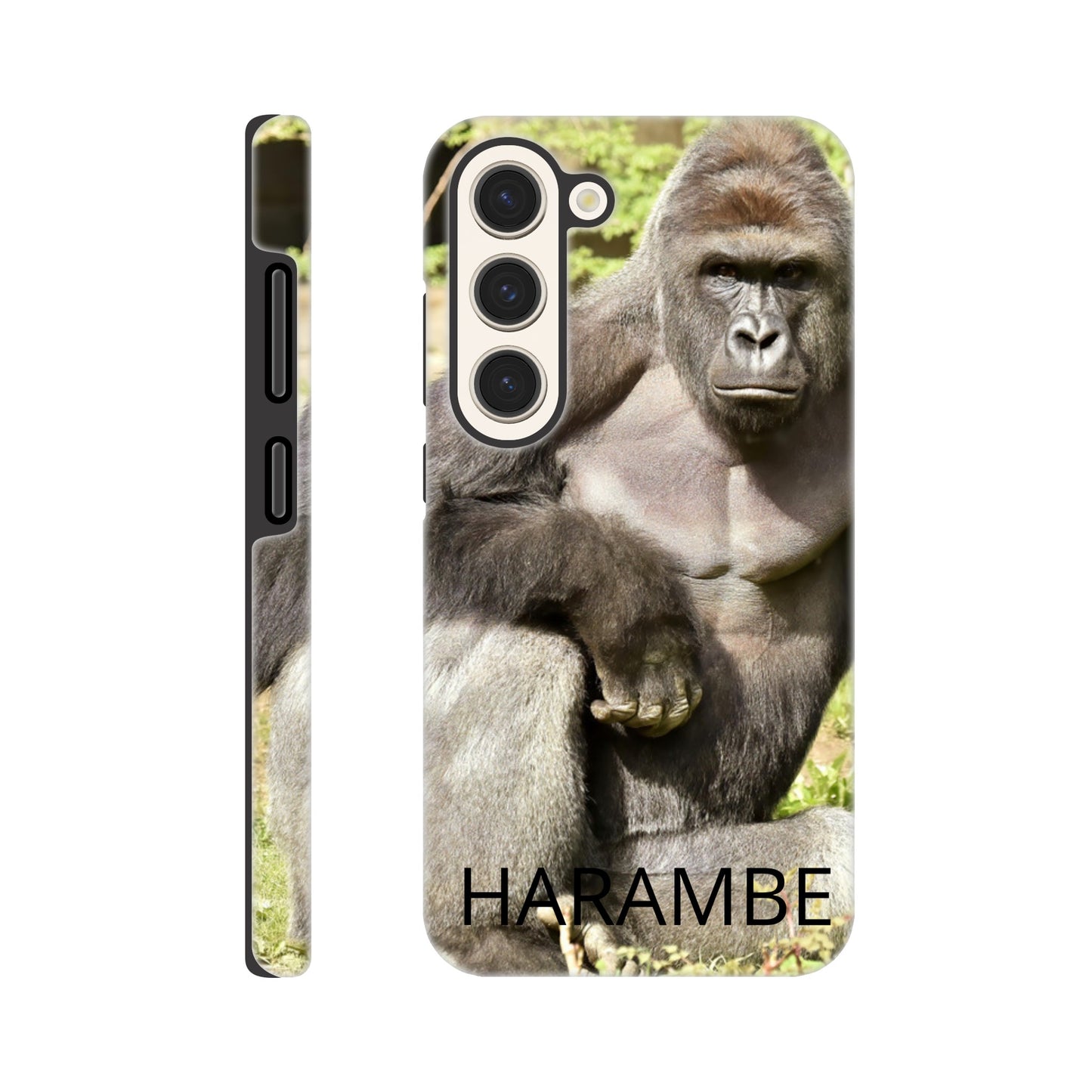 d25e2c91-5d27-4d26-928d-c9c076f90f13