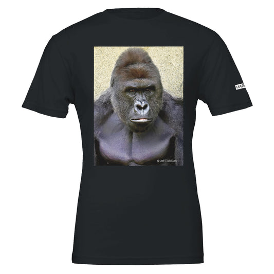 d3b36d37-3436-4bad-afc7-e3c8b3fba3dd