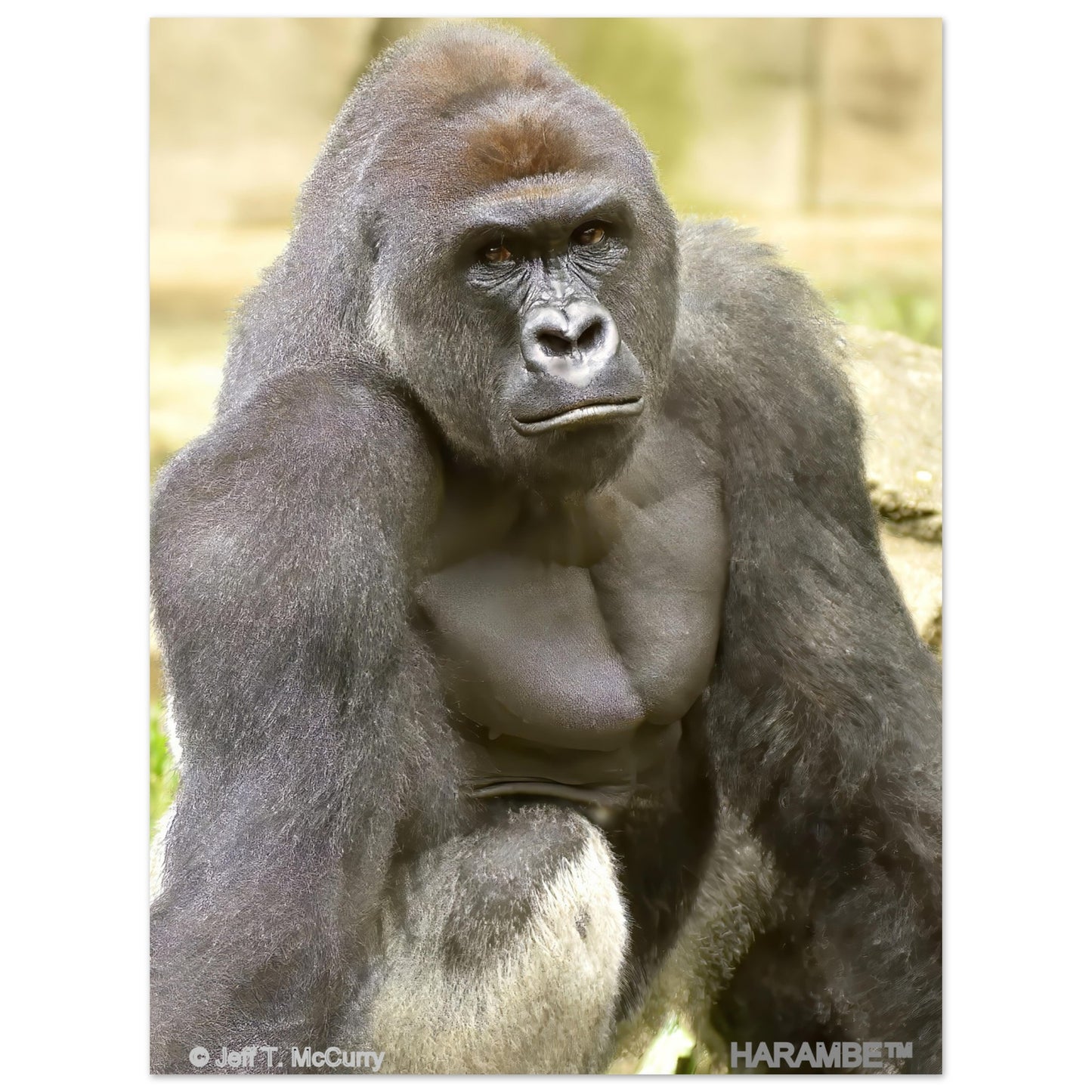 d3fca197-03e4-47f7-a23d-e317363146c8