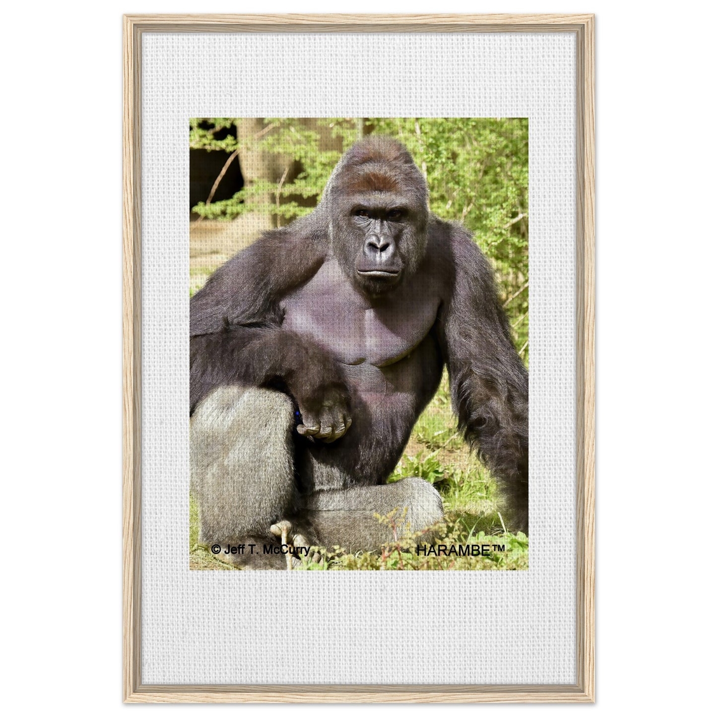 d41133c2-e791-4ae2-b1b0-6f02d6e4356b