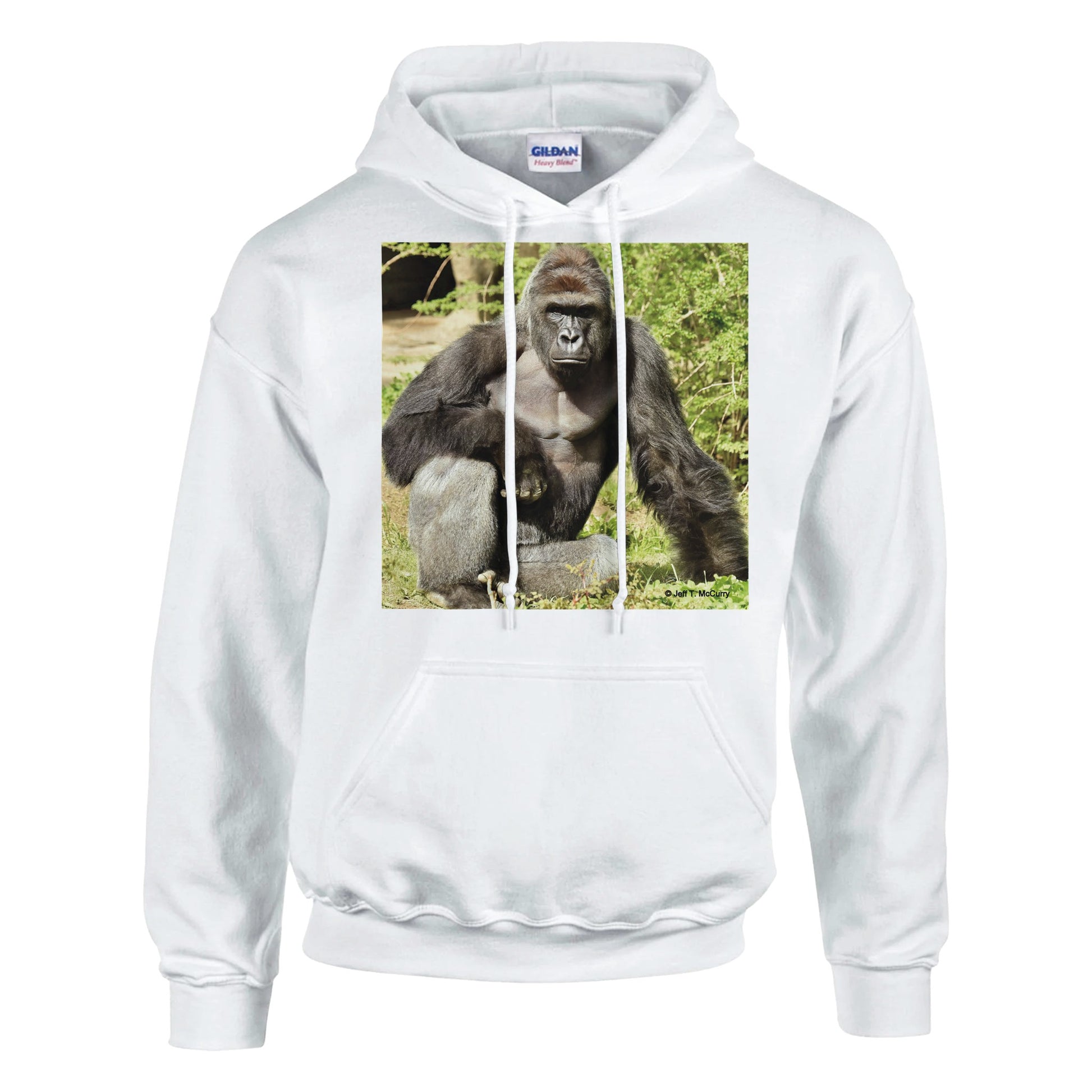 d4b843c8-0a1d-40eb-8256-c283d06d48c1