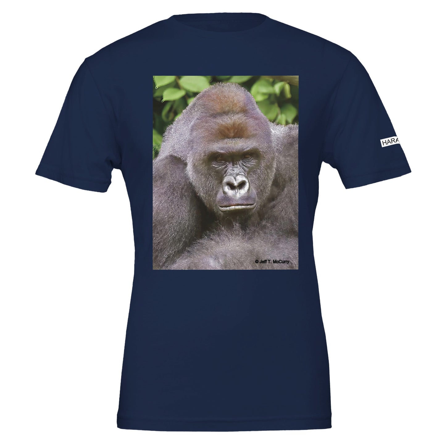 d5ce034b-ca62-43da-8275-2b865511a1a1