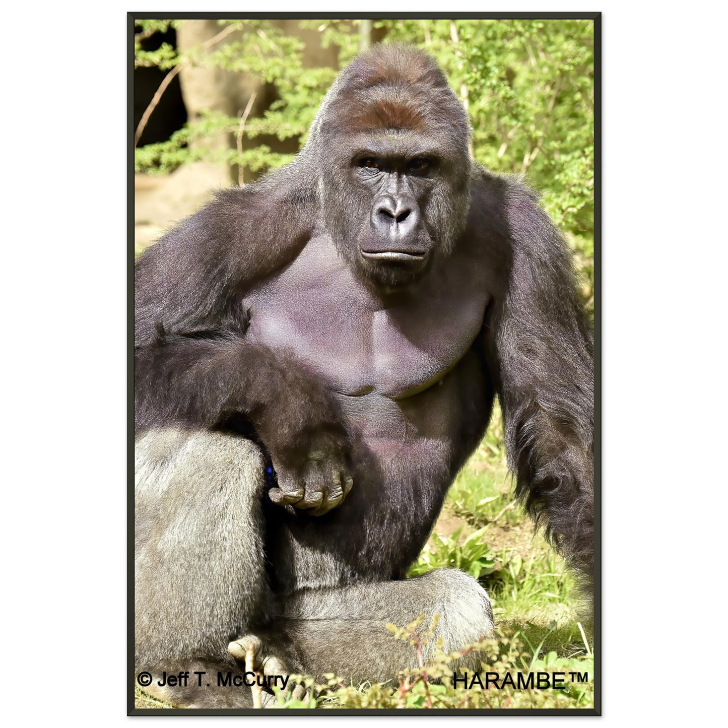 d7f9db79-df3f-4f39-a26c-9c4283a708b8