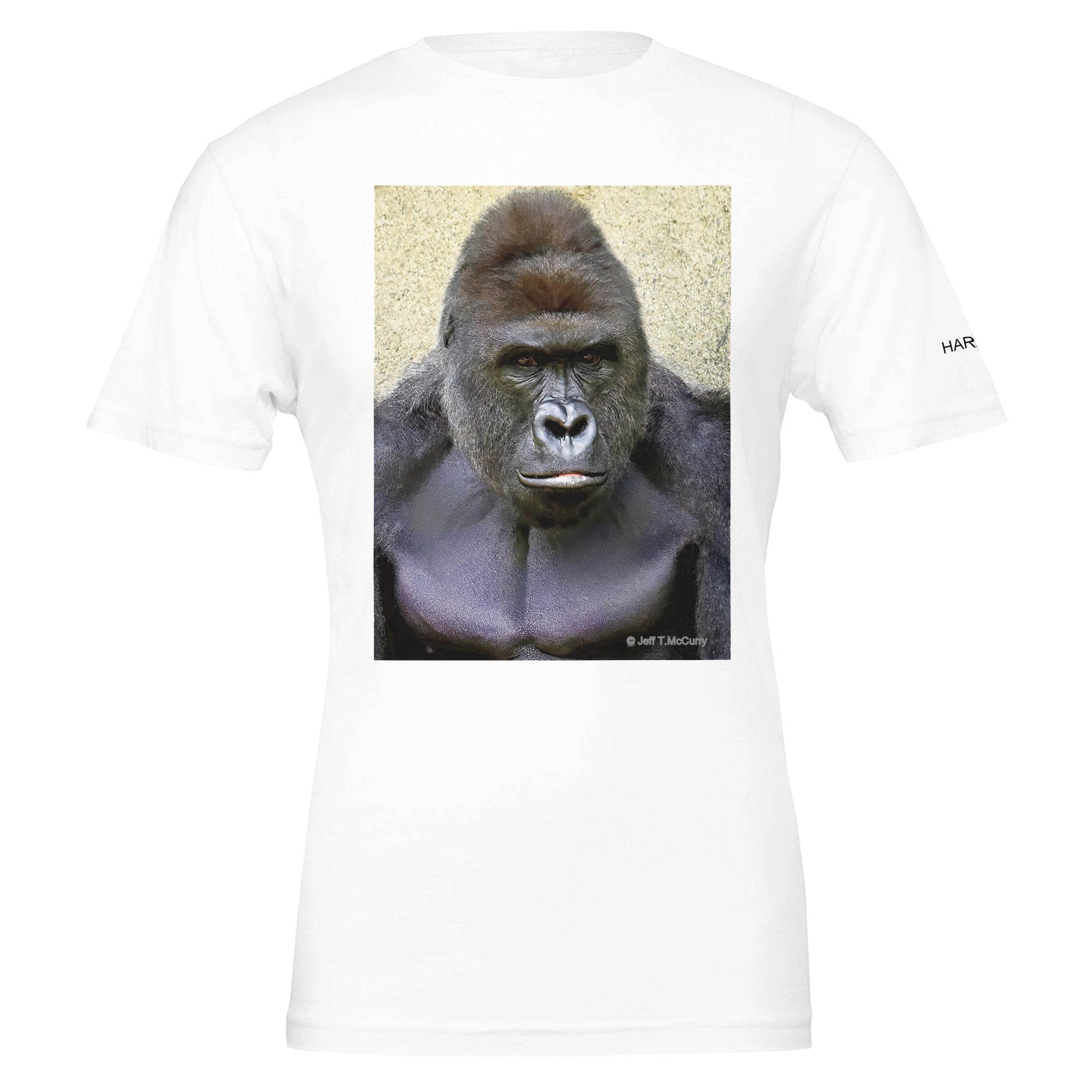 d86829dd-5978-498e-8963-54b41e05bb85