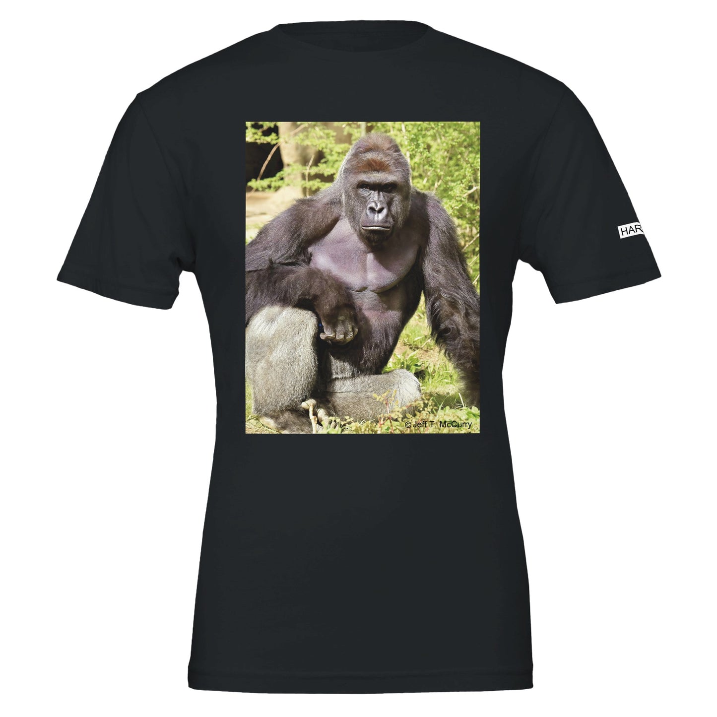 d8931a2a-cd98-4b6d-a9e2-f91cc91f17bb