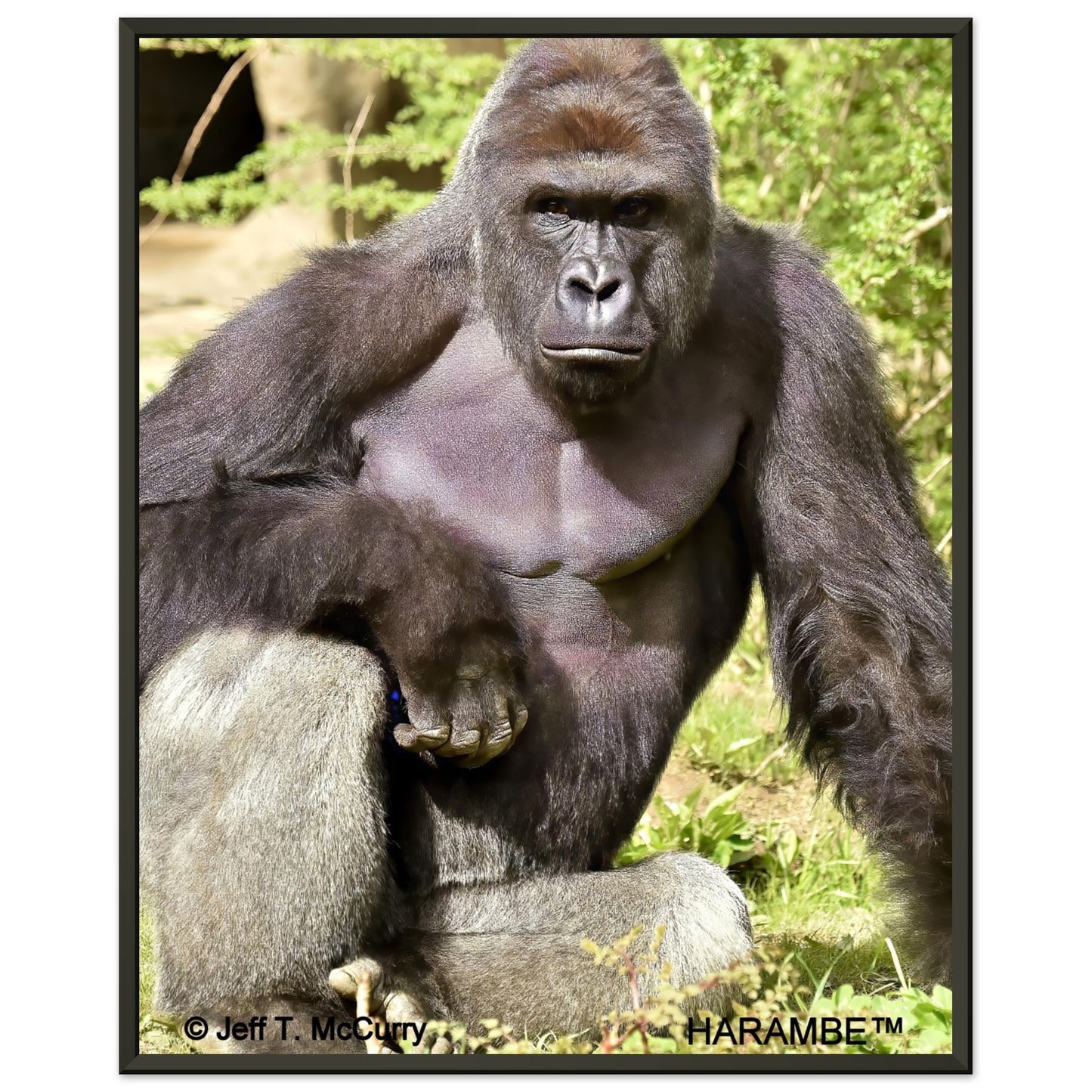 d8f982b9-e5d5-4f46-a23a-a00b2e122b7c