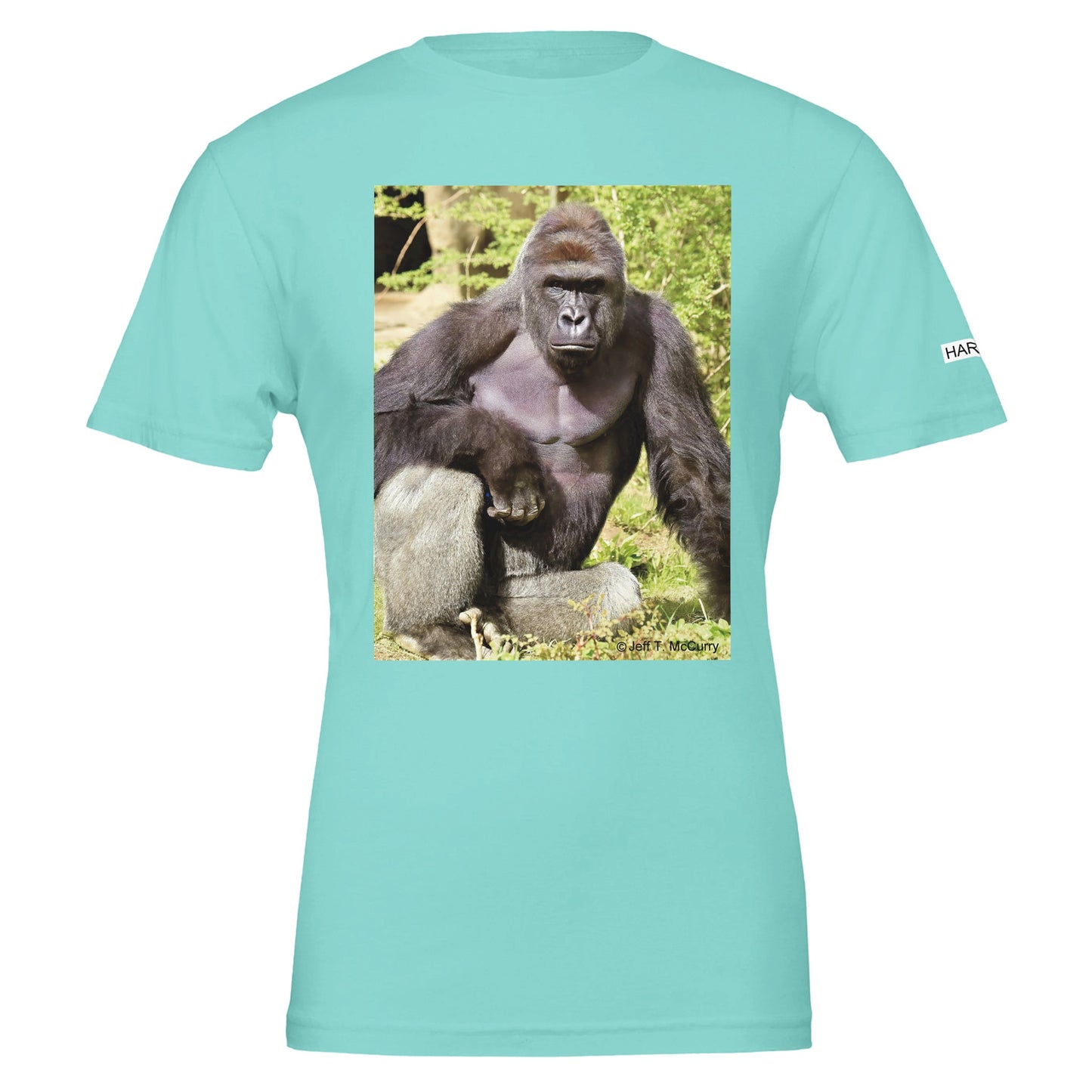 dad0b45b-519e-49d0-8a63-15cf51d13642