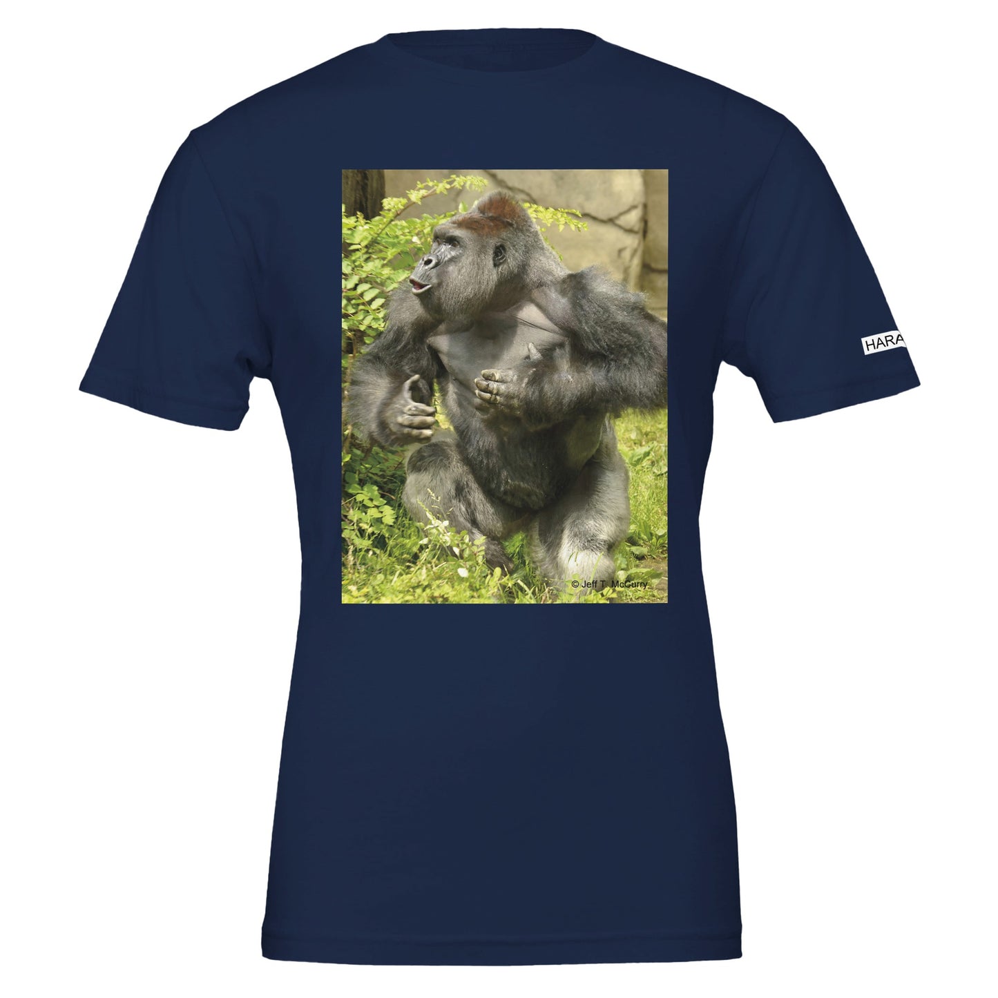 dc03d6b8-3511-432b-8736-59a4ae89d98c