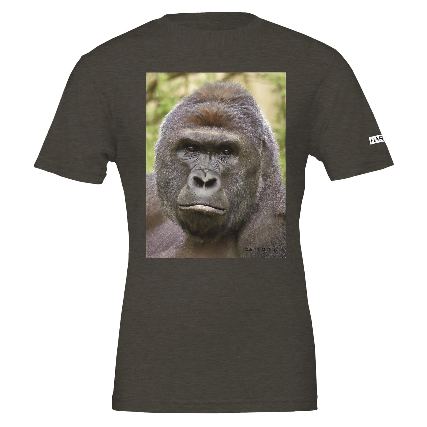 dcbc84de-12c5-4018-9570-ce253e7c72f1