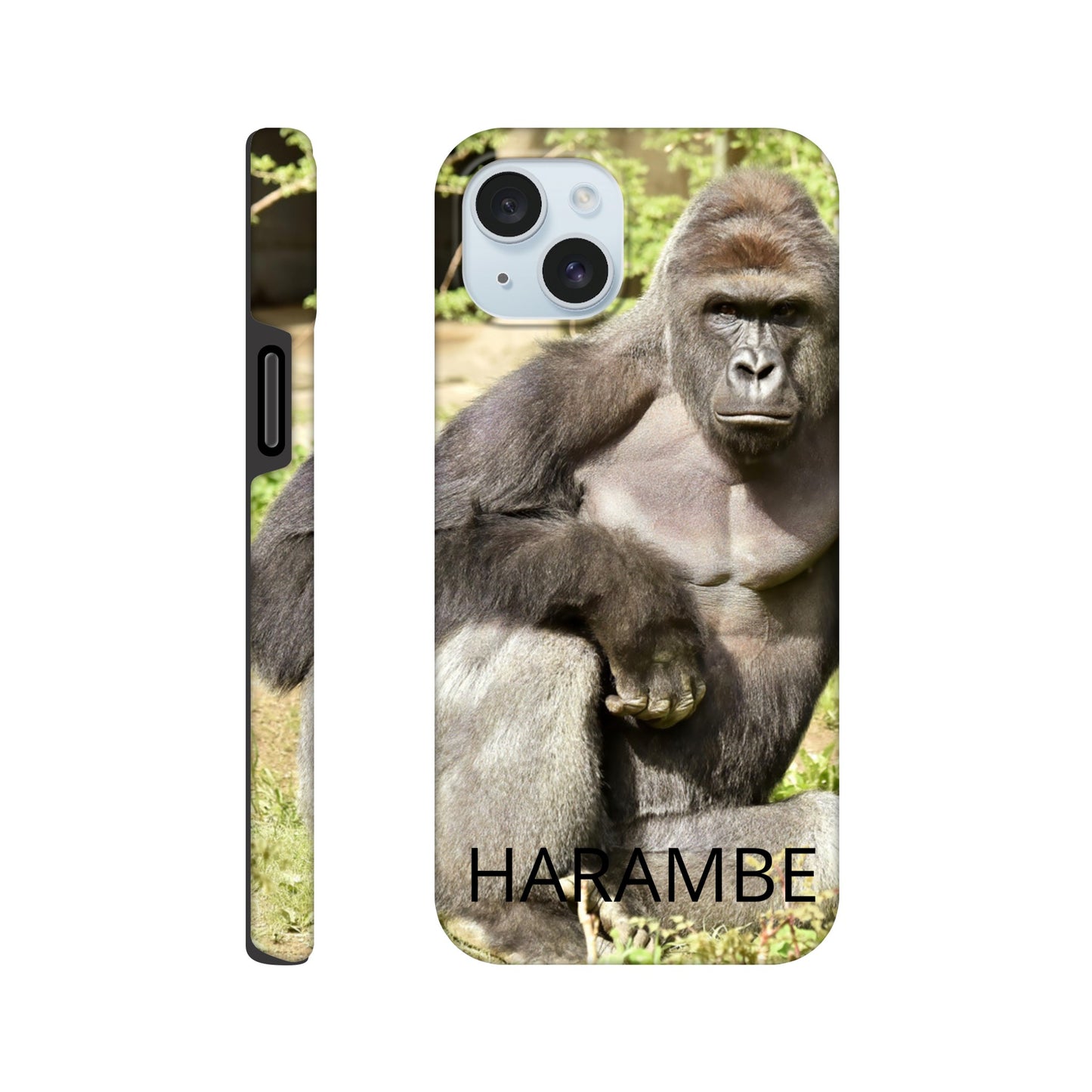 e4013b68-5bb7-4fa6-a968-b2badfcf5a2e