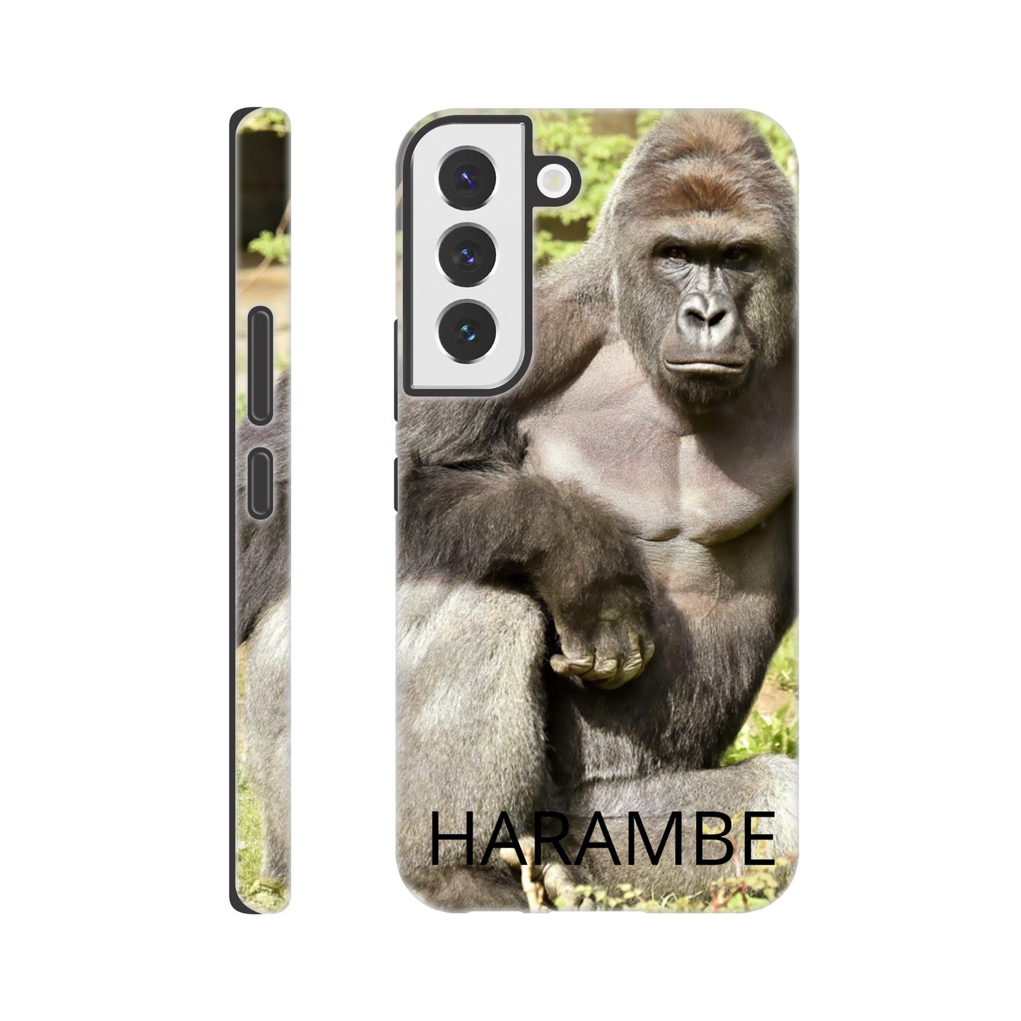 e44369c4-201b-4687-aaa9-16a2544cd270