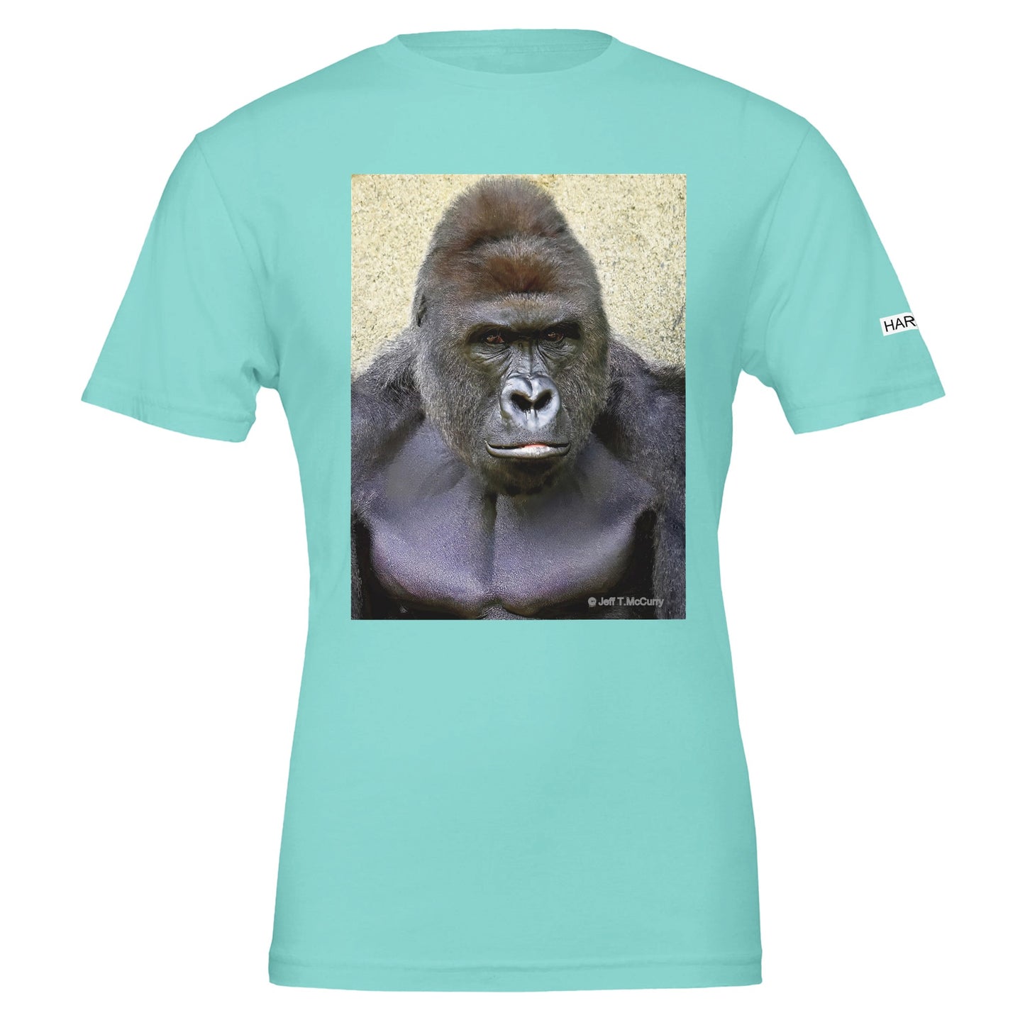 e44f4374-27e4-4e53-931a-6ae138a52a67