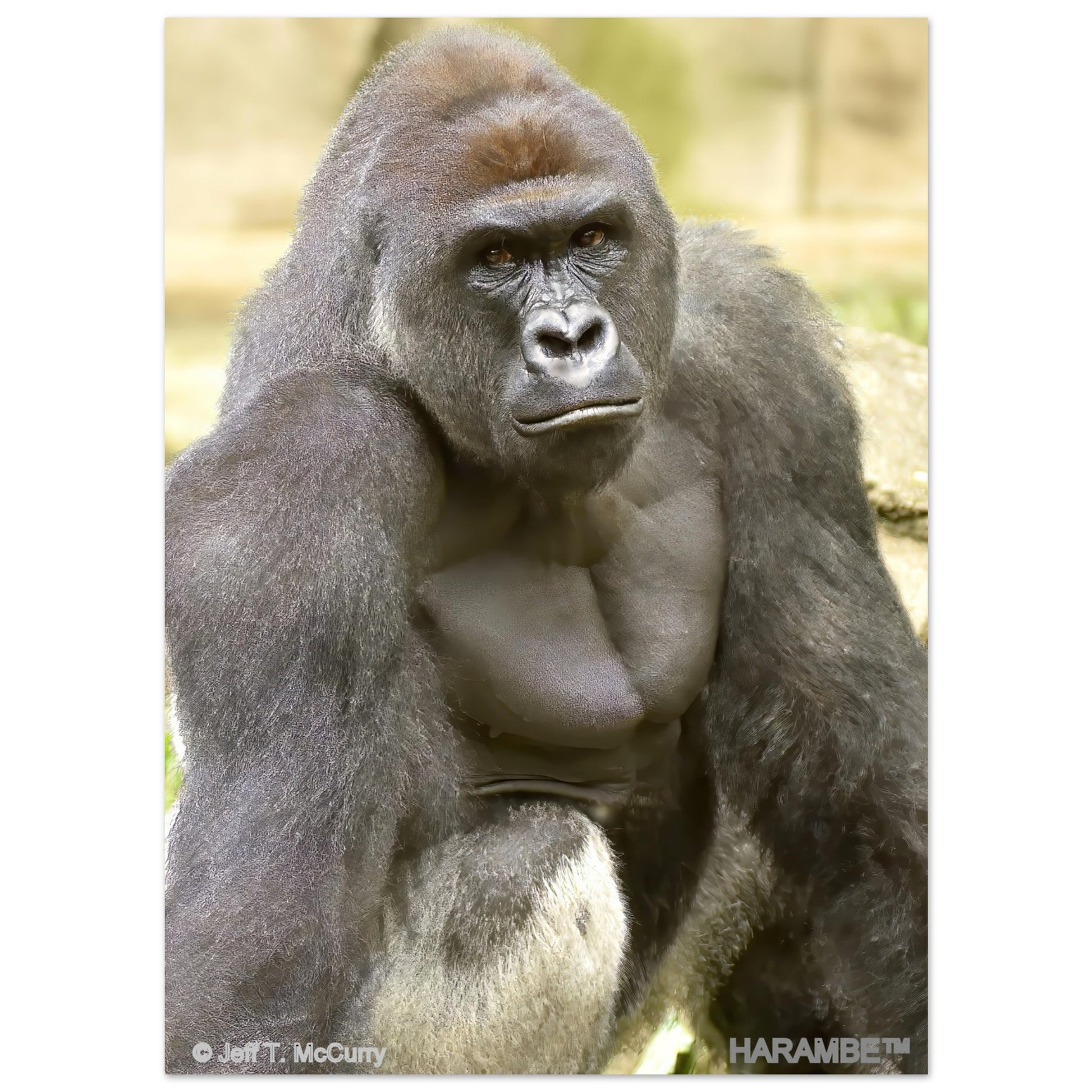 e4b9e282-ebc9-4f07-864f-def824923485