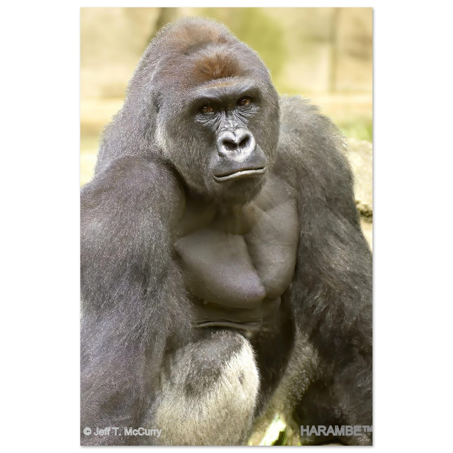 e4c28a06-ac06-4d56-9564-470ce1d4c8af