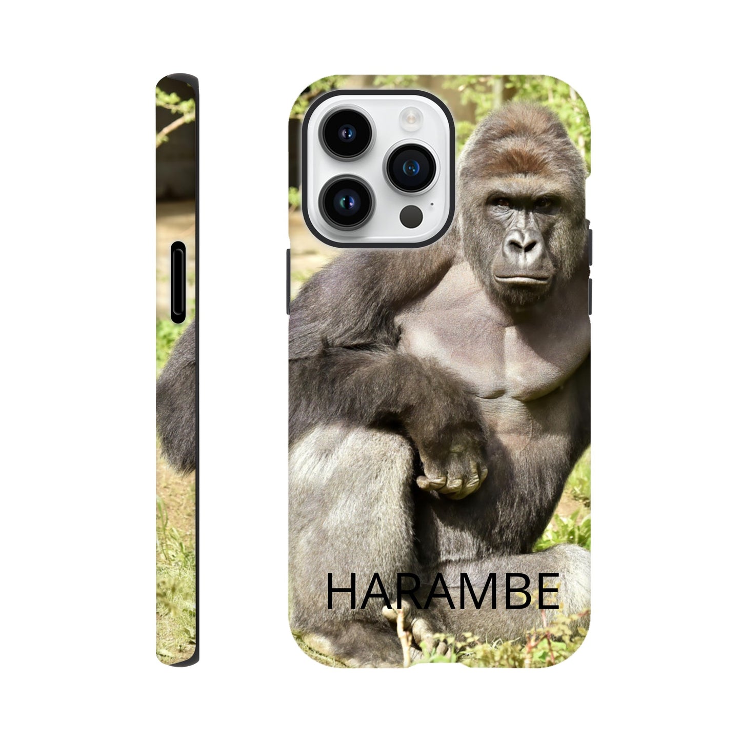 e5648a32-d6b0-48b0-a7fc-7091bfe60619