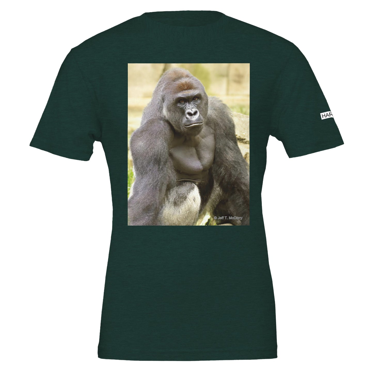 e963d171-7f14-4757-be9e-811804cb9161