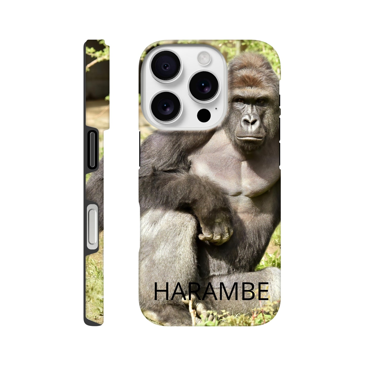 ea7b3026-3828-4a3a-8264-ddbf786df8a5