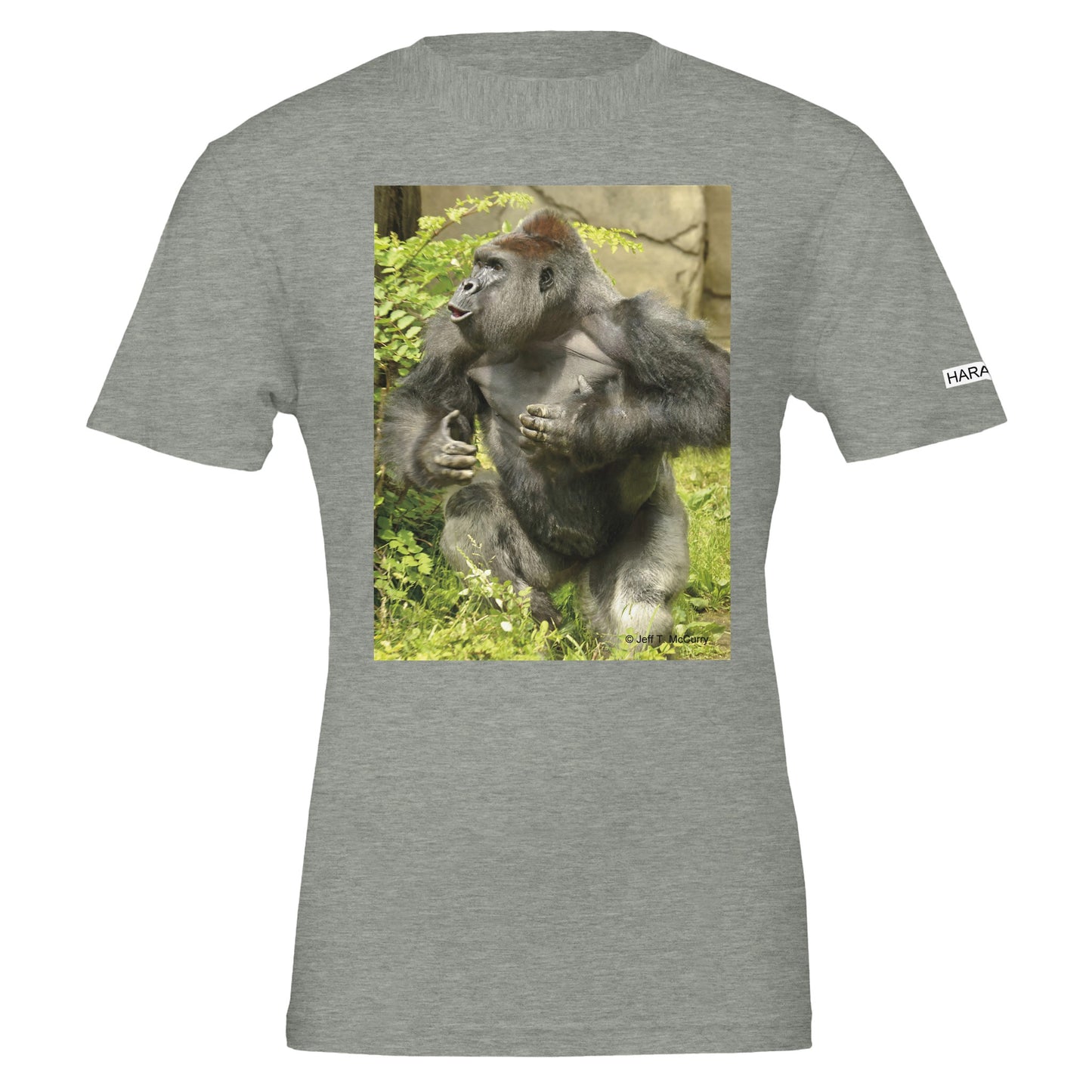 ebbfdfd8-3934-4019-81f8-010ea116747d