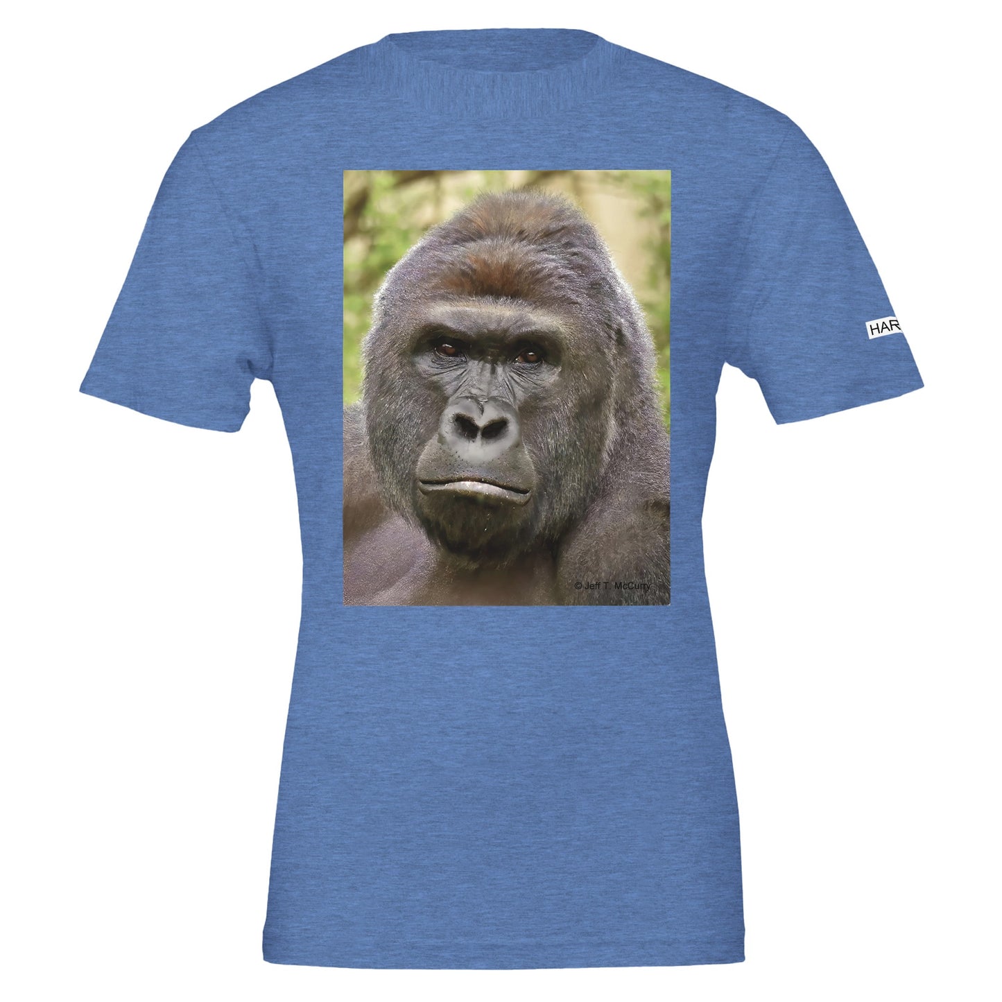 ec70bda8-b511-4734-bf4b-a6dc6626d99e