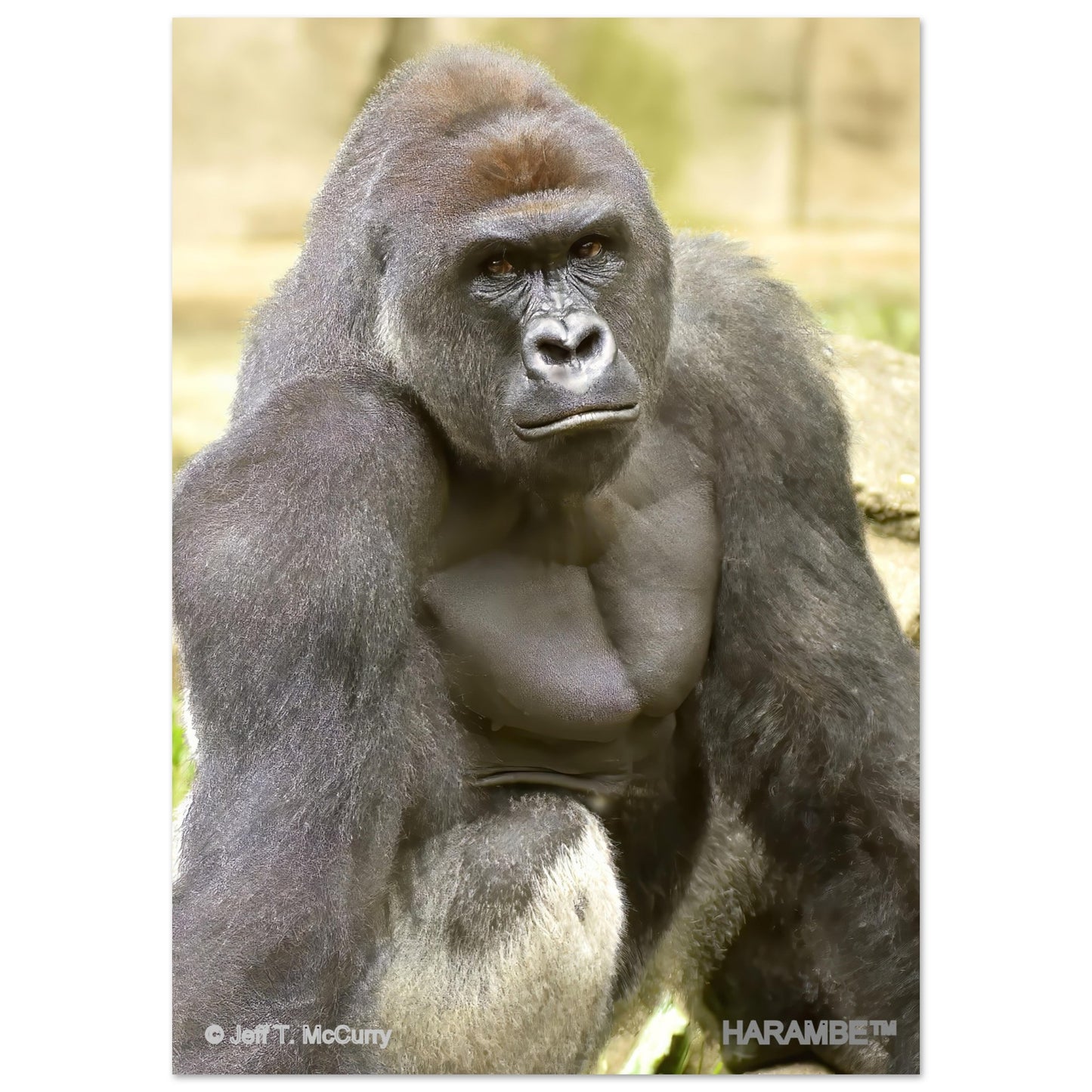 ef317272-3c6a-4522-b328-4a4160b8a31d