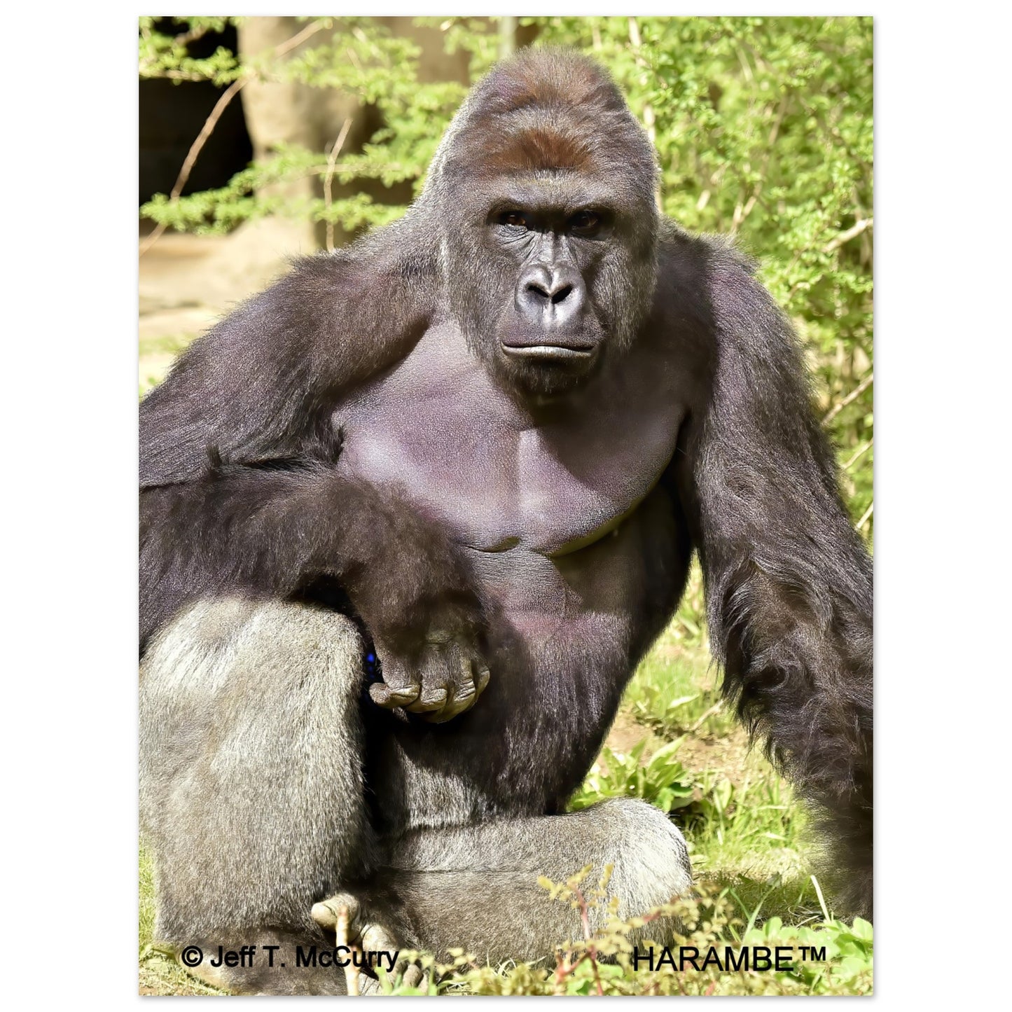 efcebfca-2856-4f84-9ed1-4c4483a9aff1