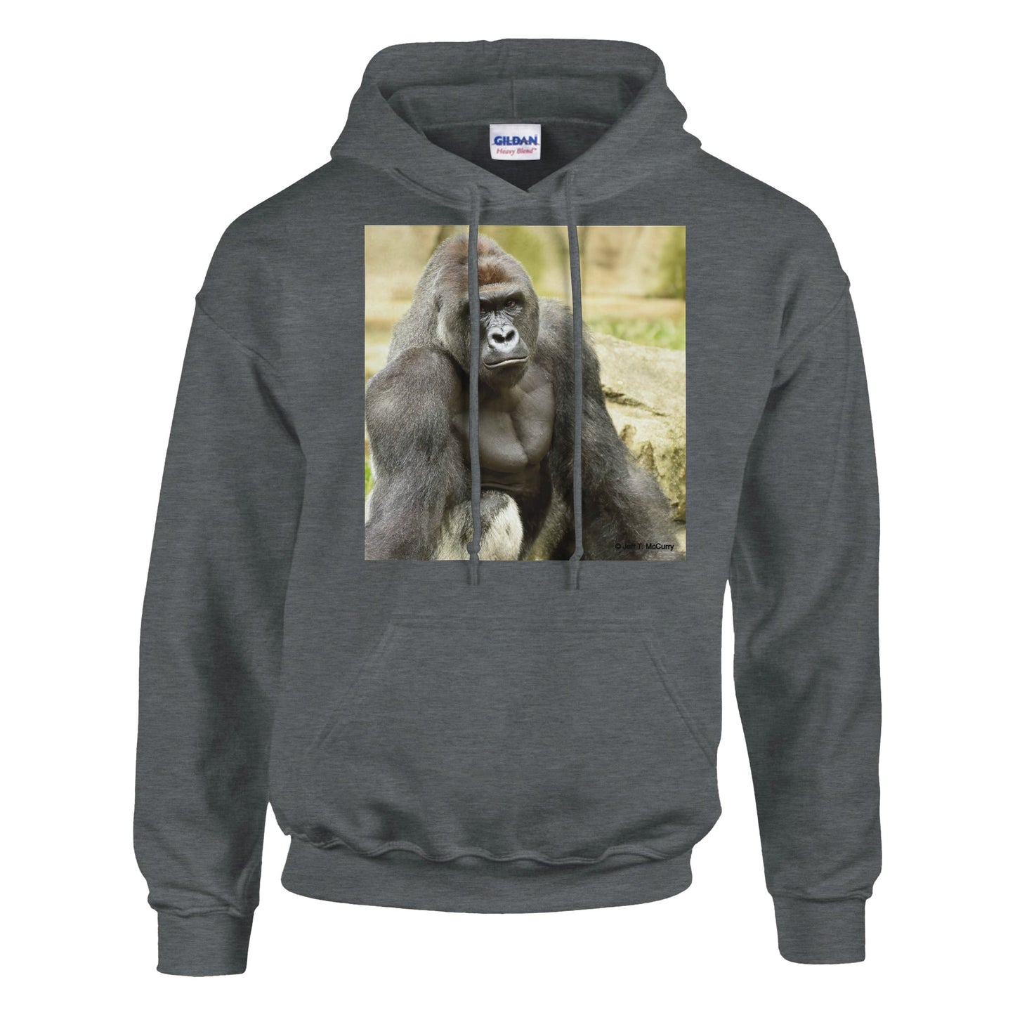 f369fc29-084e-4f15-8bdb-29b733c7b9a1