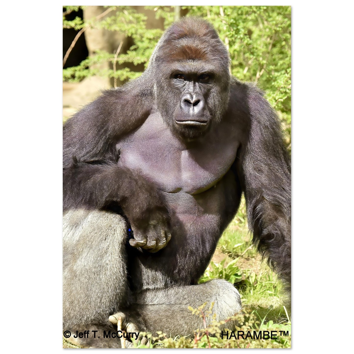 f3783774-69e9-4ee3-8994-064ebcf9ecfd