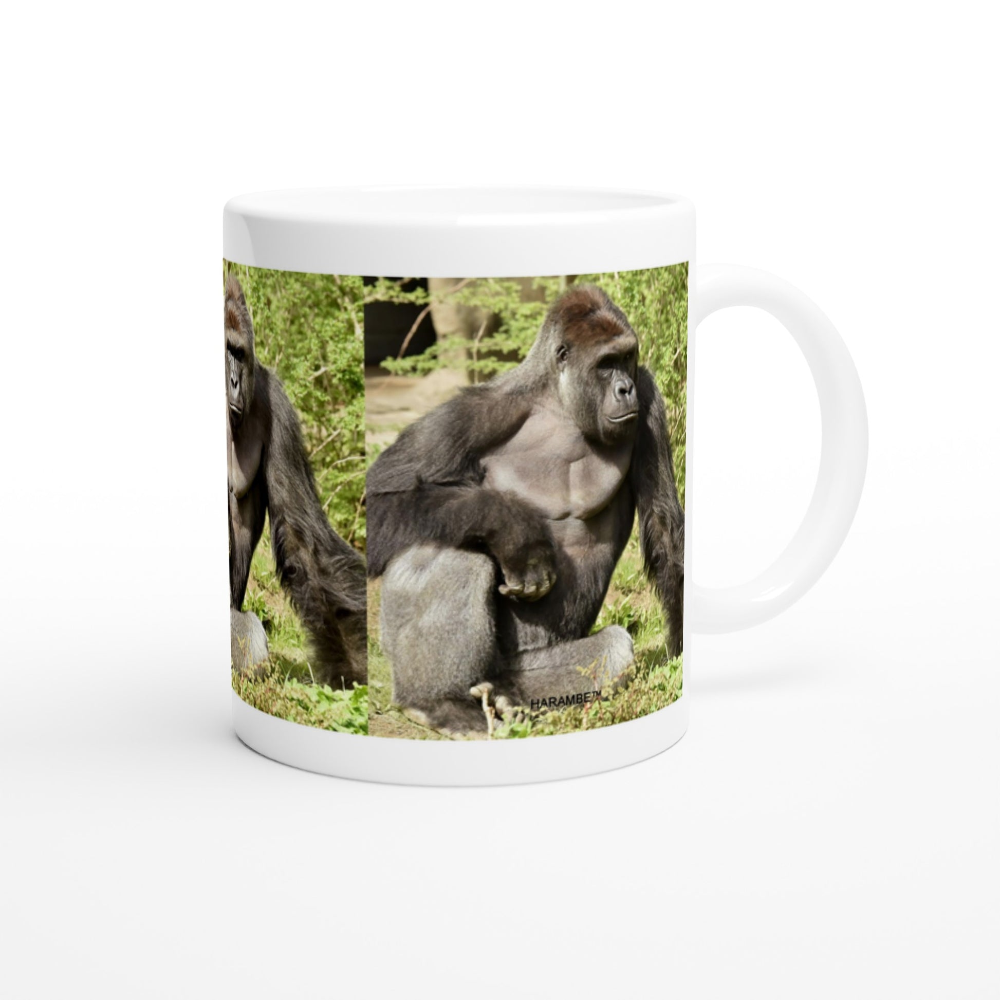 f4bc0cf1-d6d9-47ee-b0fe-481695f0609a