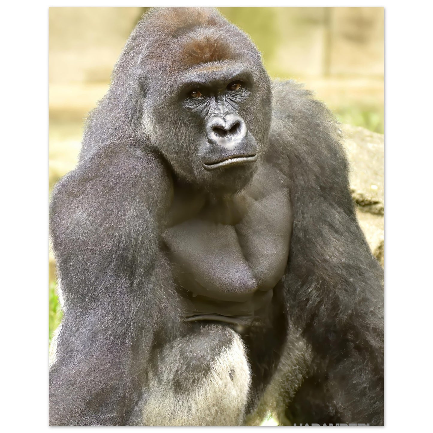 f837b02d-2cdf-420d-ae6c-ad6ecdb1ace3