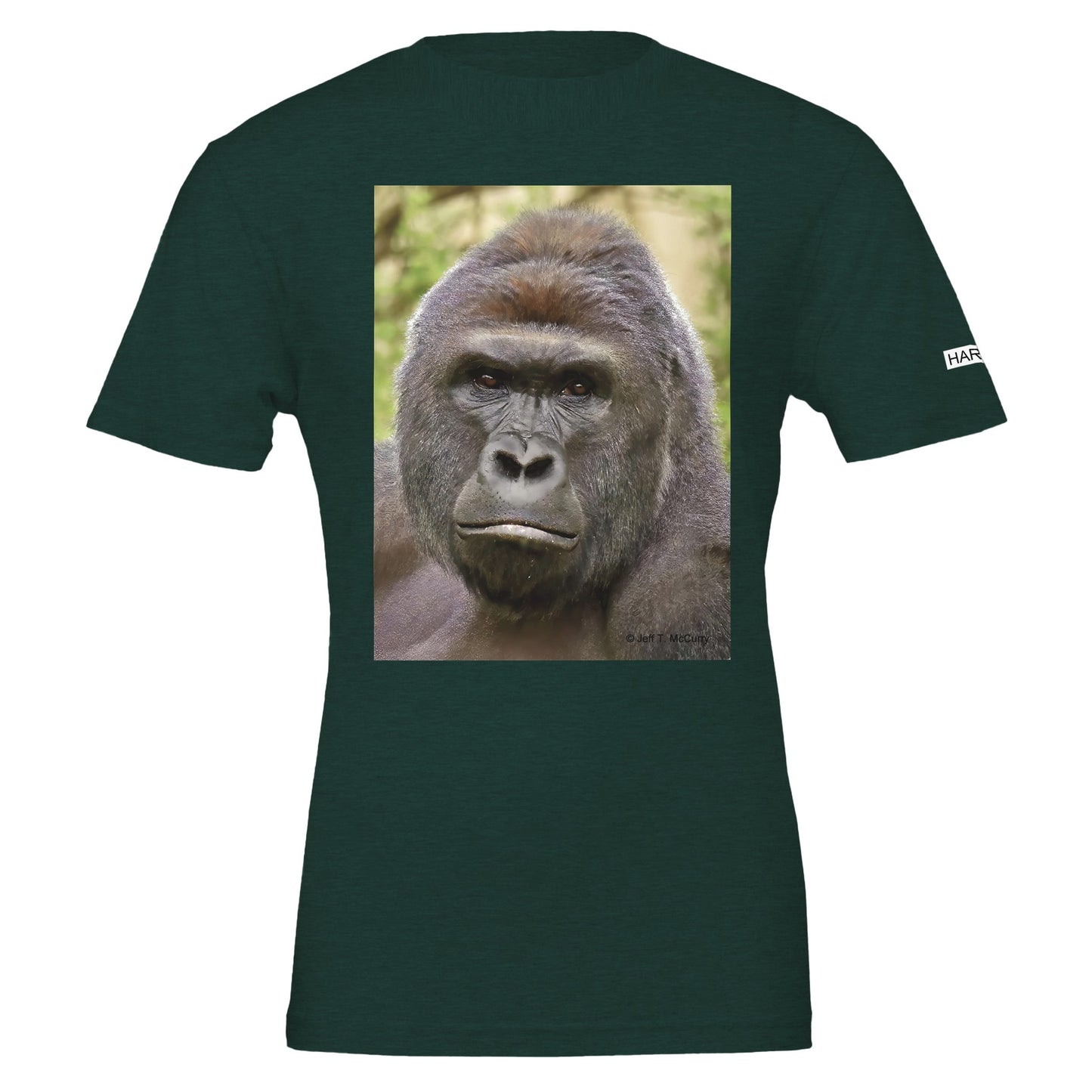 f951e86f-ca78-40b8-ae06-ab309499bc92