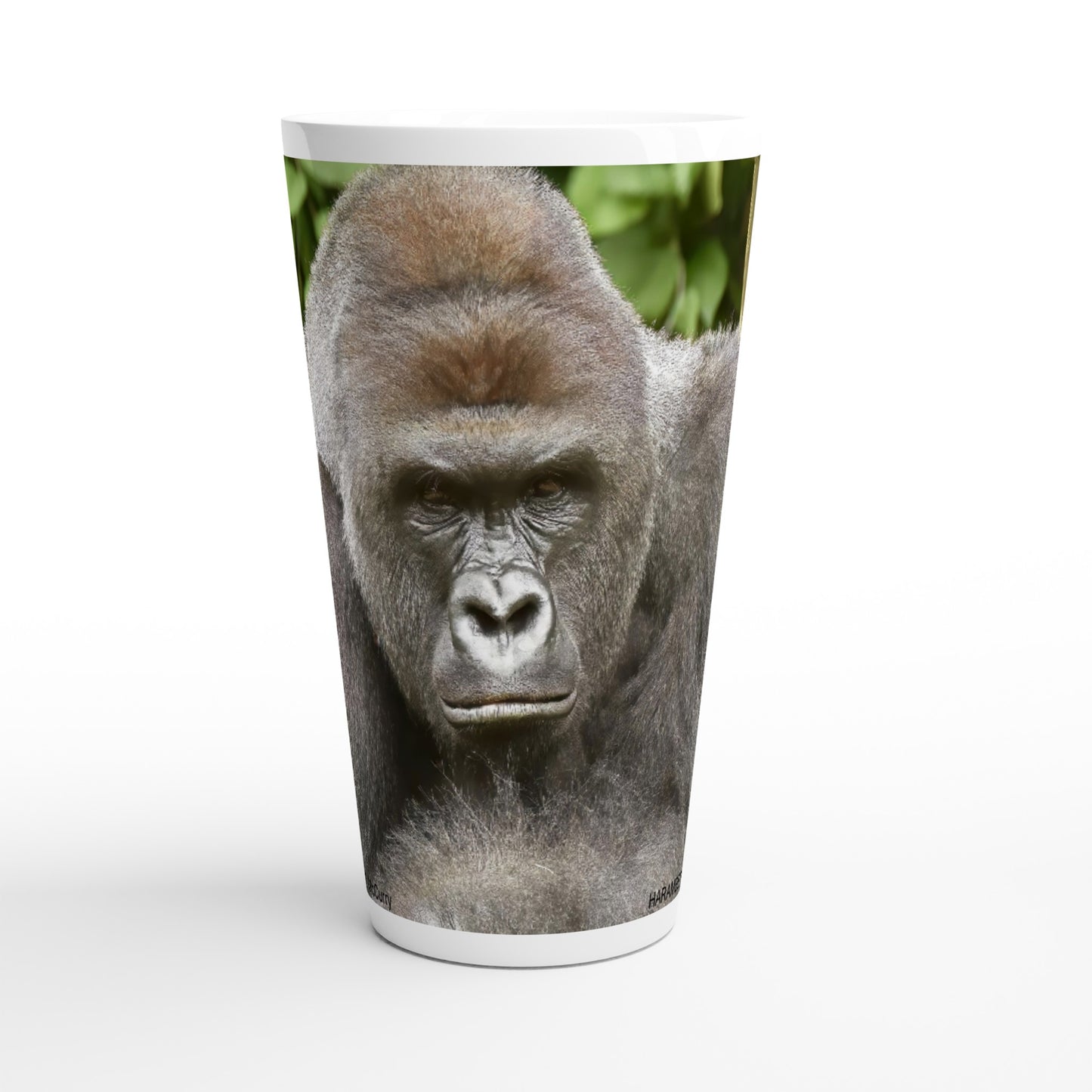 fafa831b-eb62-452b-81fb-865d4e23e558