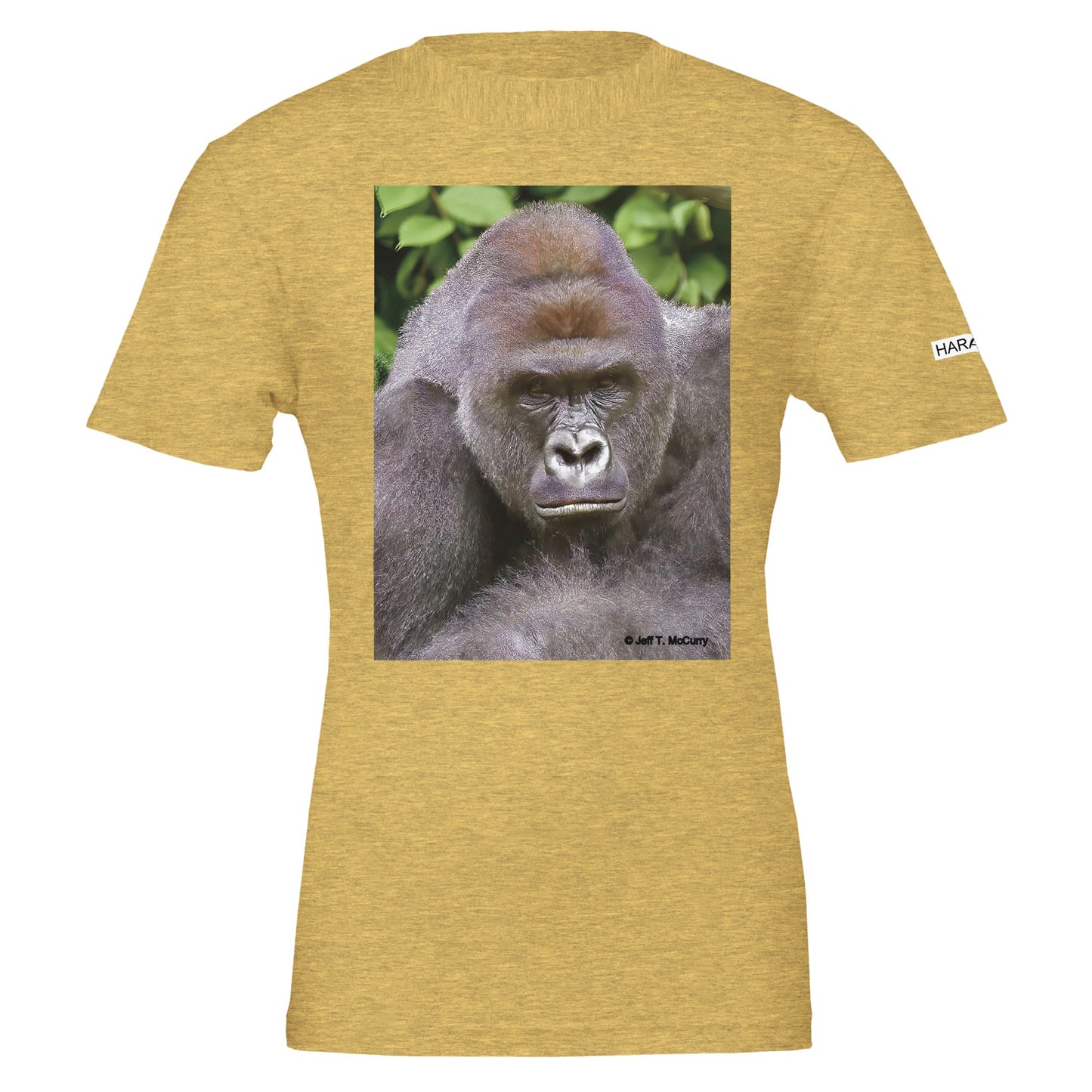 fe07c8ee-1b22-46c0-b8ee-877506dc56ff